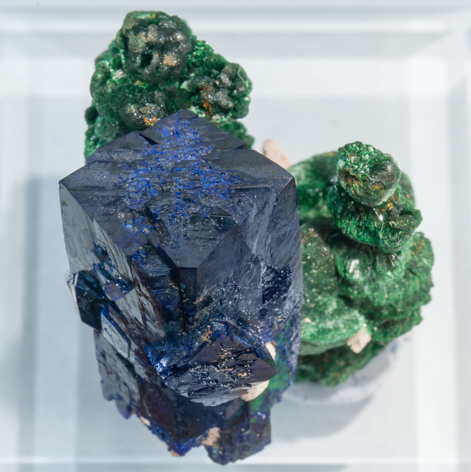 specimens/s_imagesAE8/Azurite-NP98AE8t.jpg