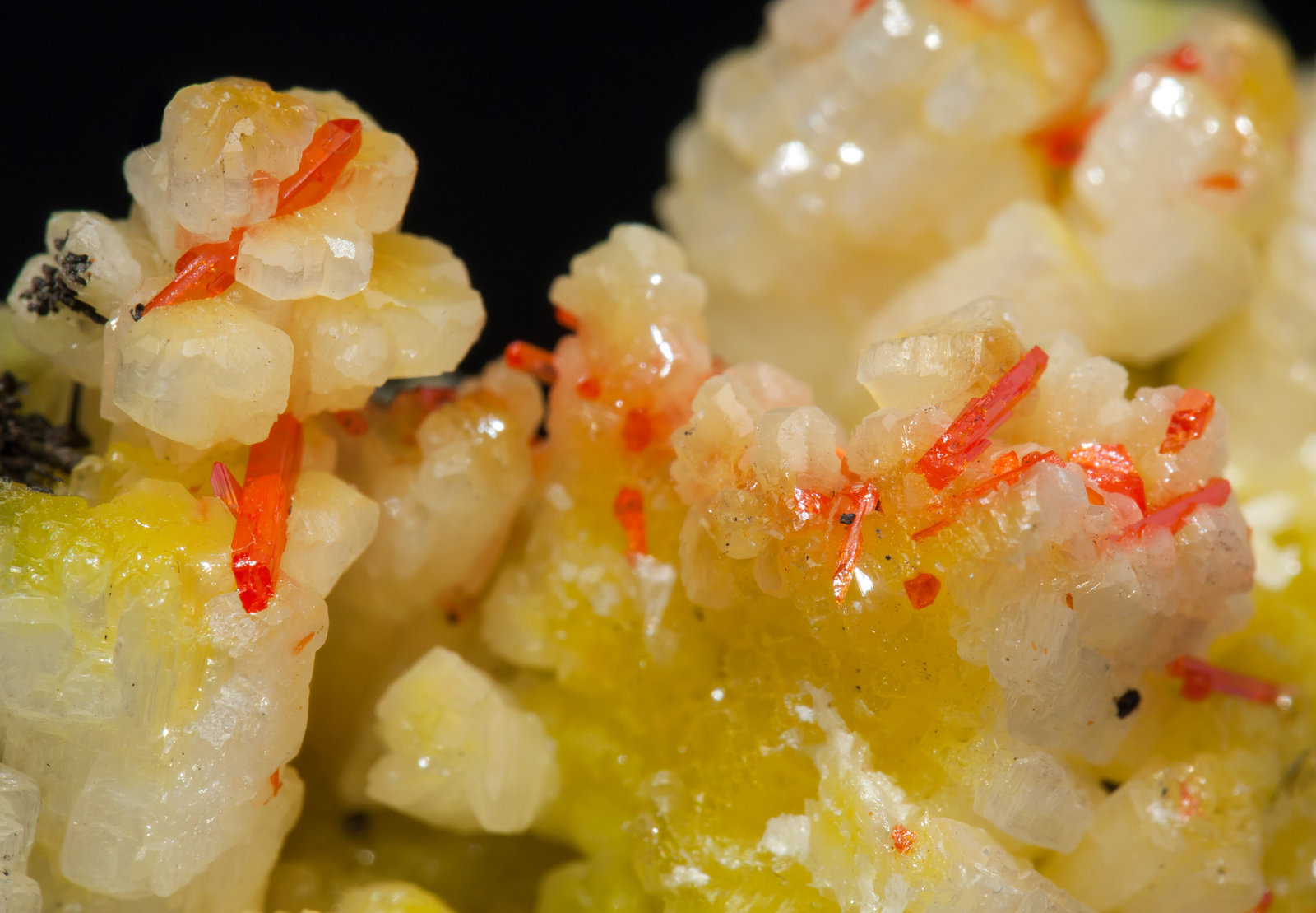 specimens/s_imagesAE8/Cerussite_Cr-TX87AE8d1.jpg