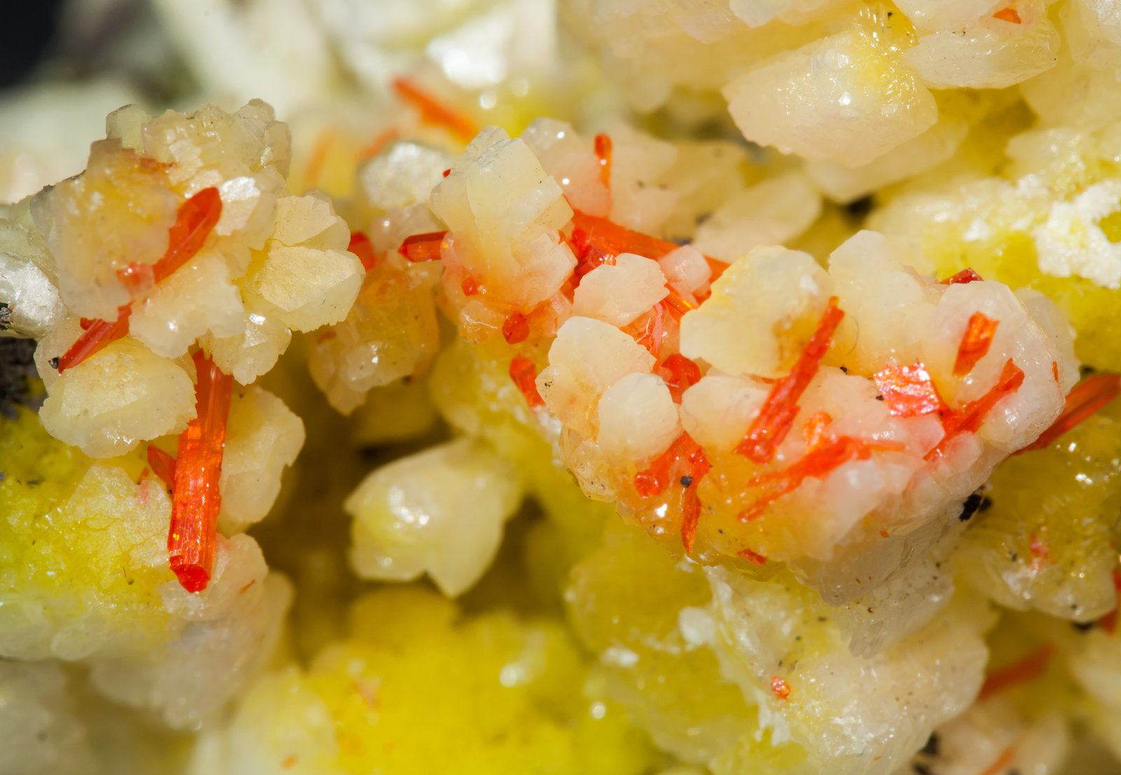 specimens/s_imagesAE8/Cerussite_Cr-TX87AE8d2.jpg