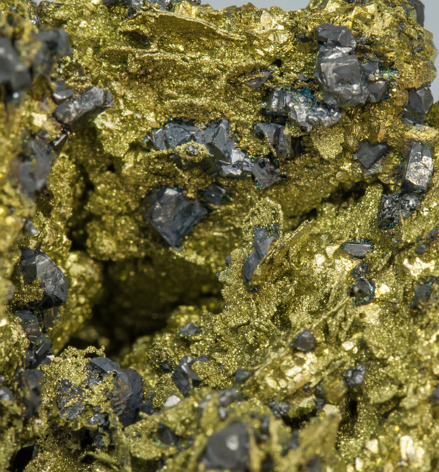 specimens/s_imagesAE8/Chalcopyrite-TK74AE8d.jpg