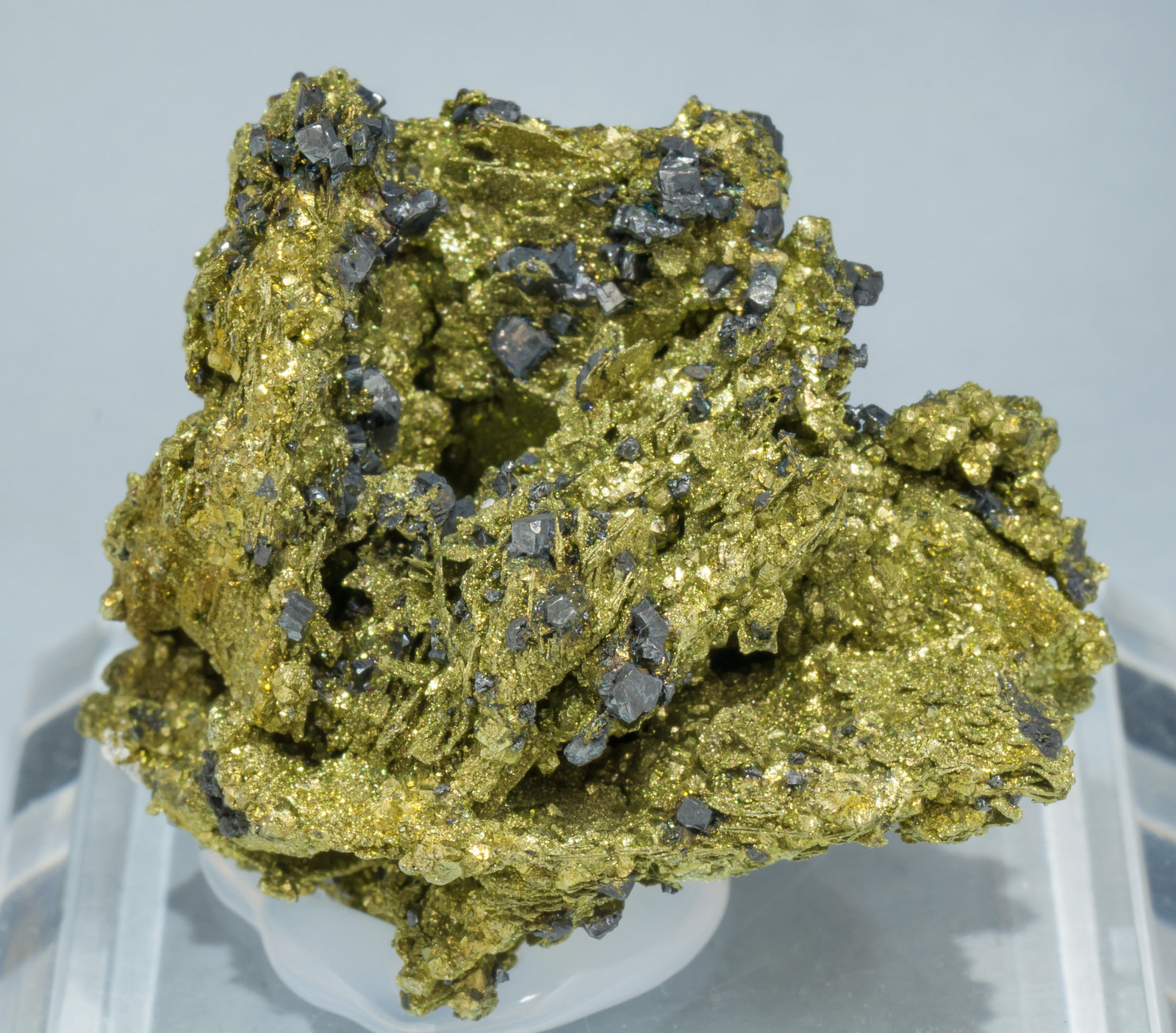 specimens/s_imagesAE8/Chalcopyrite-TK74AE8f.jpg
