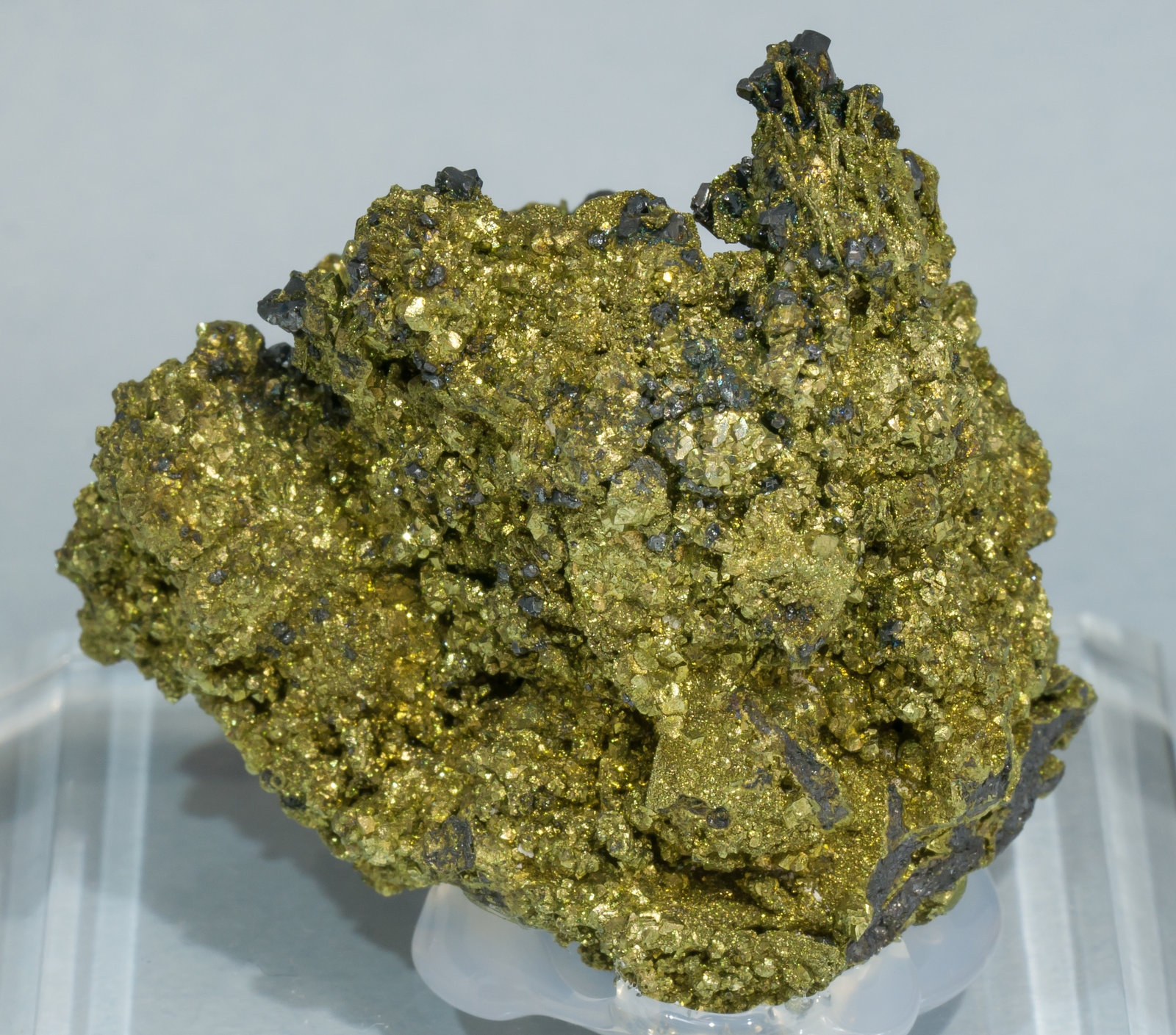 specimens/s_imagesAE8/Chalcopyrite-TK74AE8r.jpg