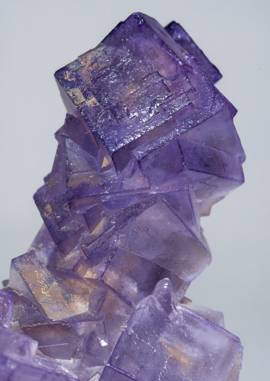 specimens/s_imagesAE8/Fluorite-EB68AE8d.jpg