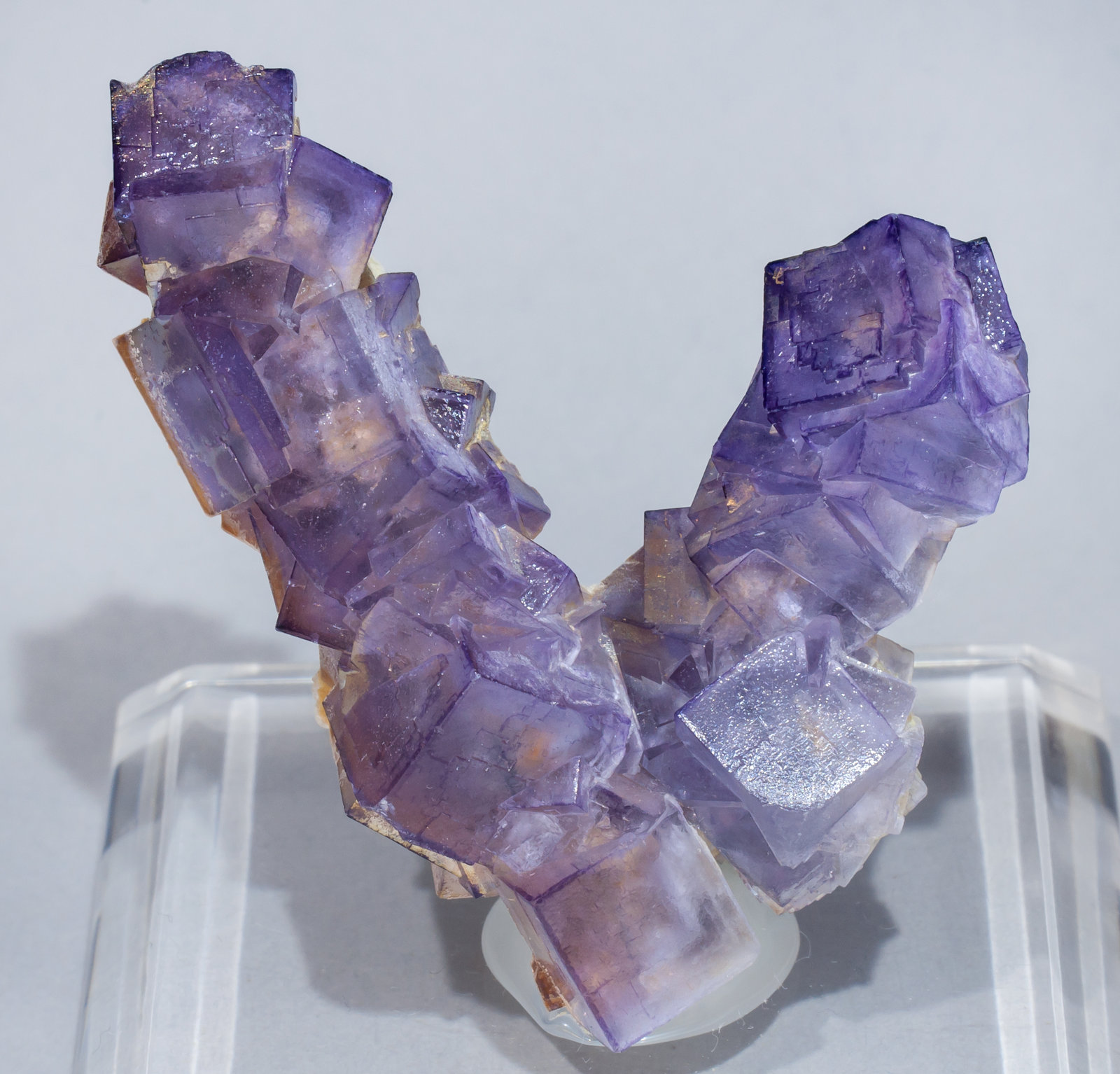 specimens/s_imagesAE8/Fluorite-EB68AE8f.jpg