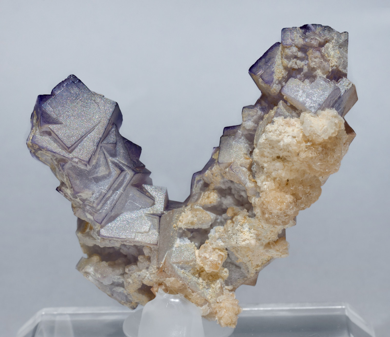 specimens/s_imagesAE8/Fluorite-EB68AE8r.jpg