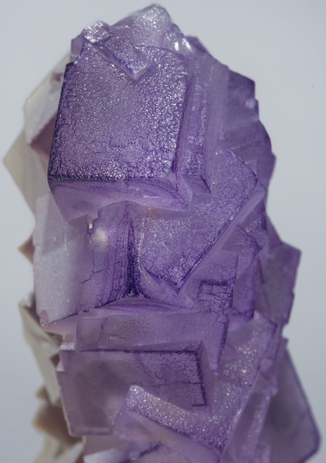 specimens/s_imagesAE8/Fluorite-EC66AE8d.jpg