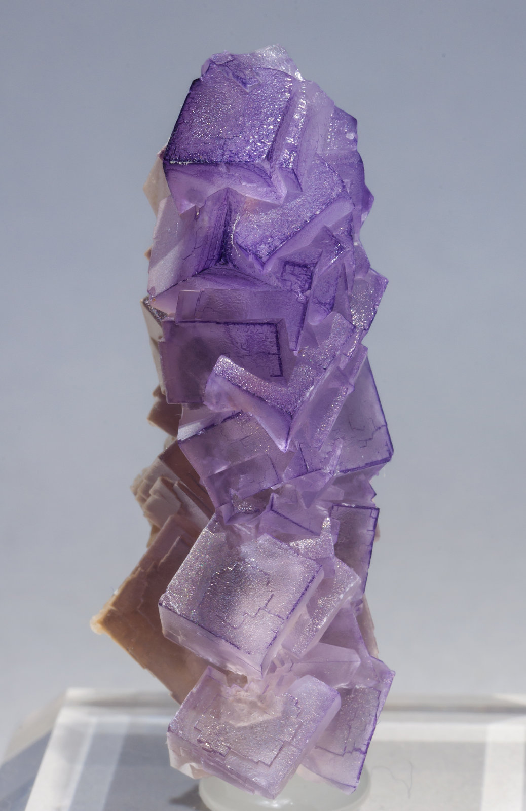 specimens/s_imagesAE8/Fluorite-EC66AE8f.jpg