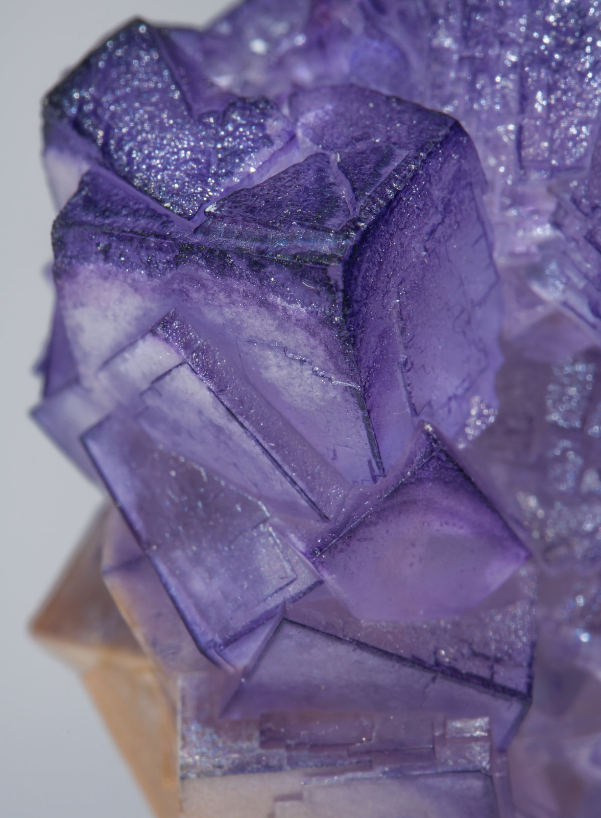 specimens/s_imagesAE8/Fluorite-EE48AE8d.jpg