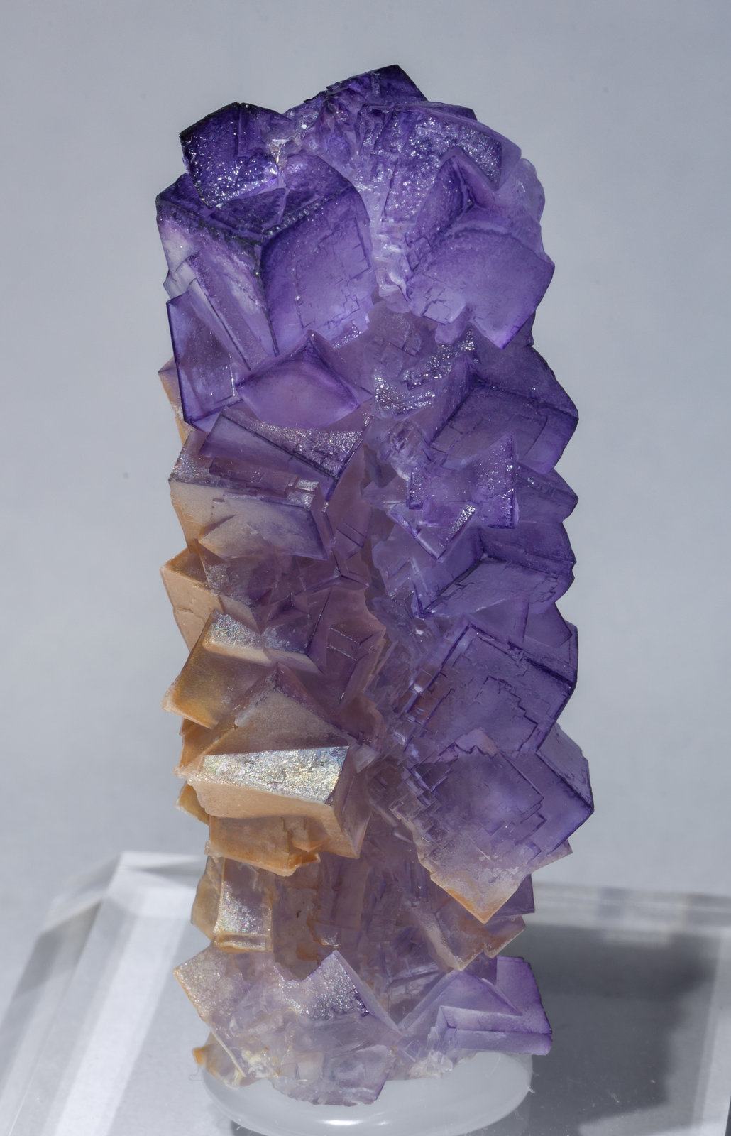 specimens/s_imagesAE8/Fluorite-EE48AE8f.jpg