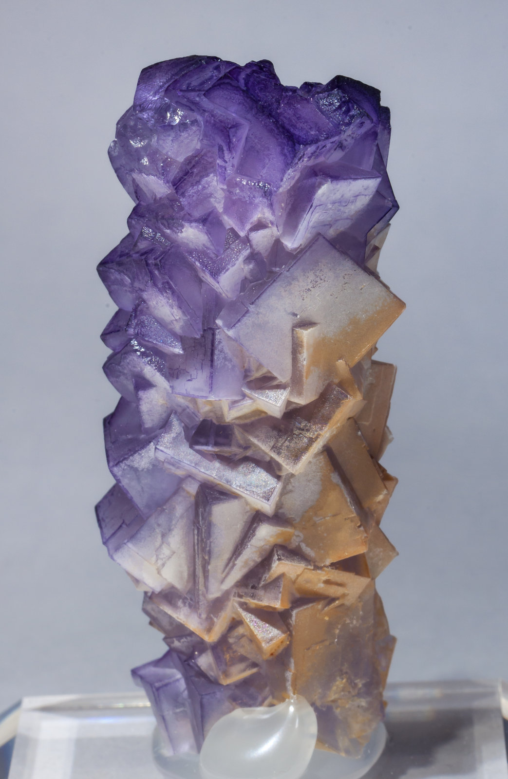 specimens/s_imagesAE8/Fluorite-EE48AE8r.jpg