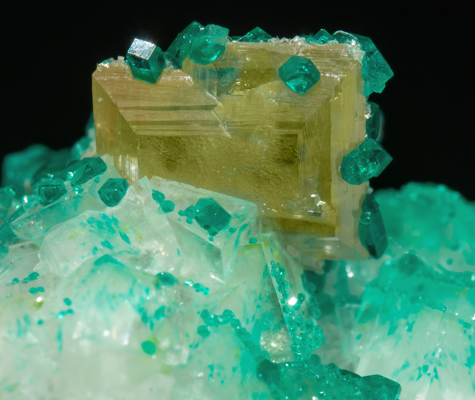 specimens/s_imagesAE8/Wulfenite-TC87AE8r.jpg