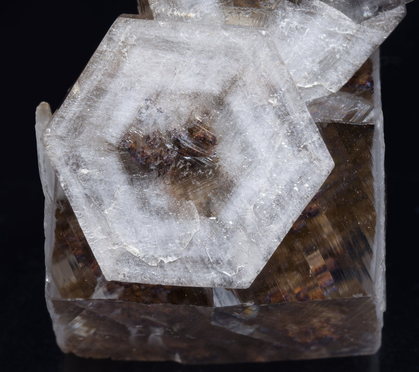 specimens/s_imagesAE9/Calcite-TR31AE9d.jpg