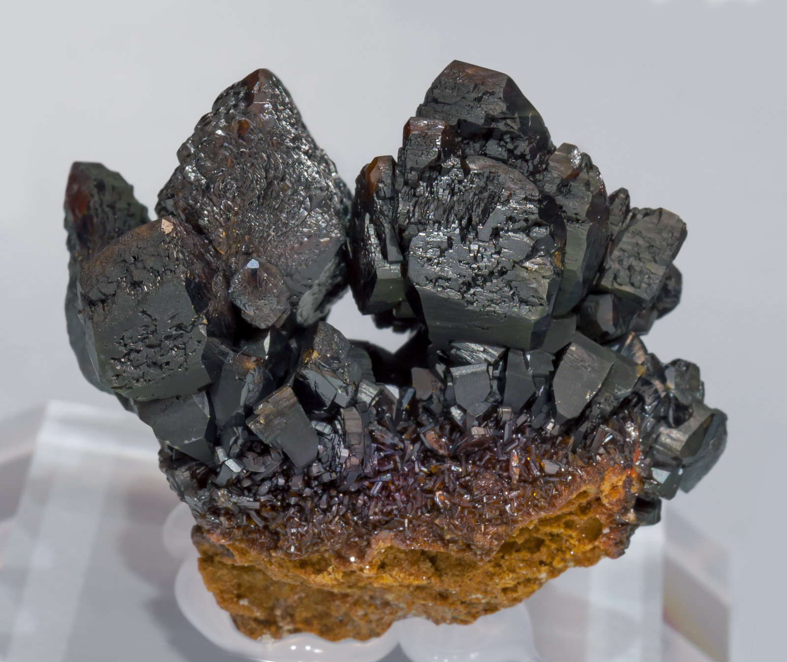 specimens/s_imagesAE9/Descloizite-TT37AE9f.jpg