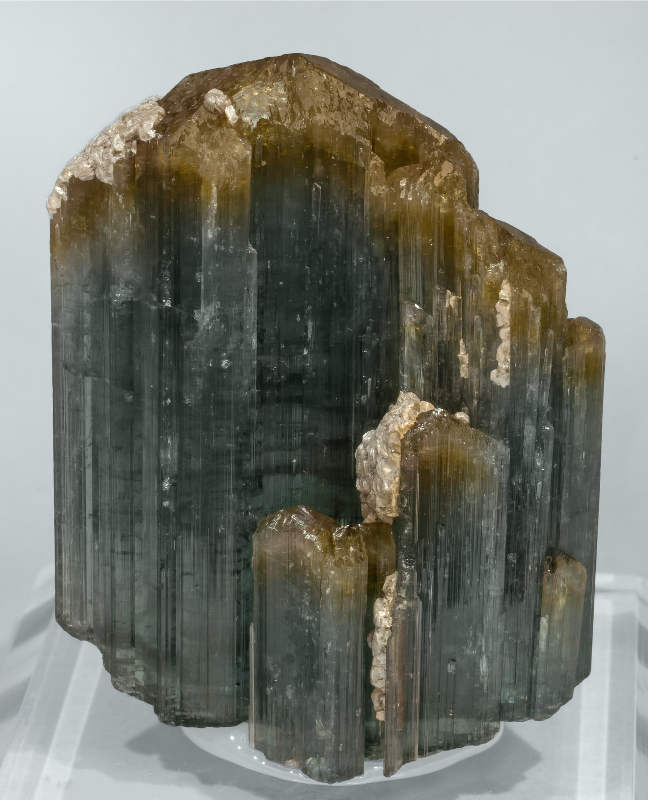specimens/s_imagesAE9/Elbaite-TJ10AE9f.jpg