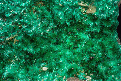 Brochantite with Quartz (variety chalcedony). 