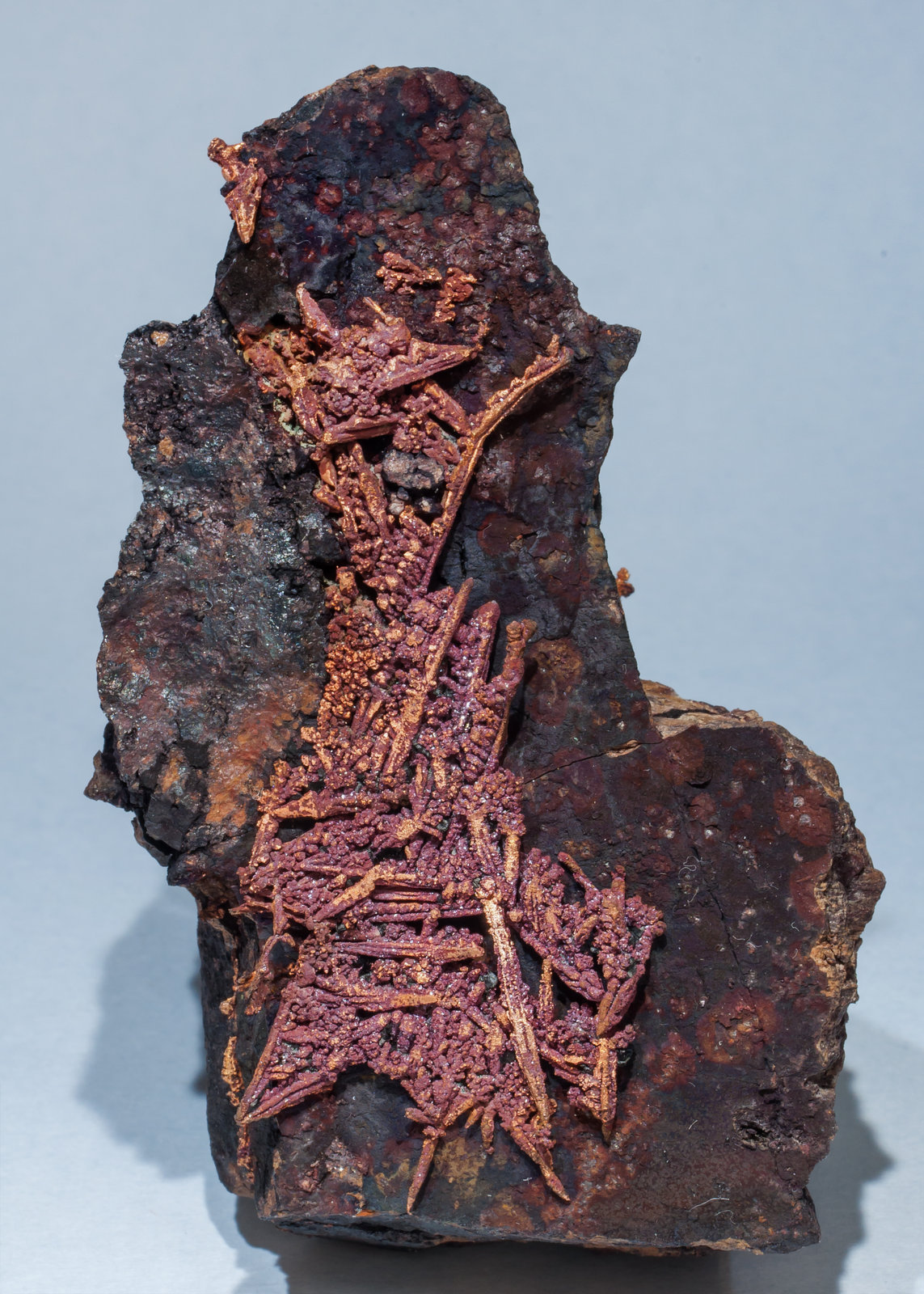 specimens/s_imagesAF0/Cuprite-TT73AF0f.jpg