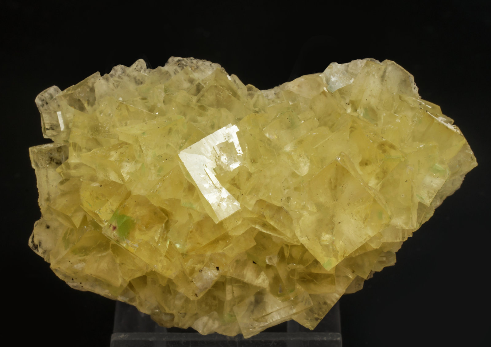 specimens/s_imagesAF0/Fluorite-LM36AF0f.jpg