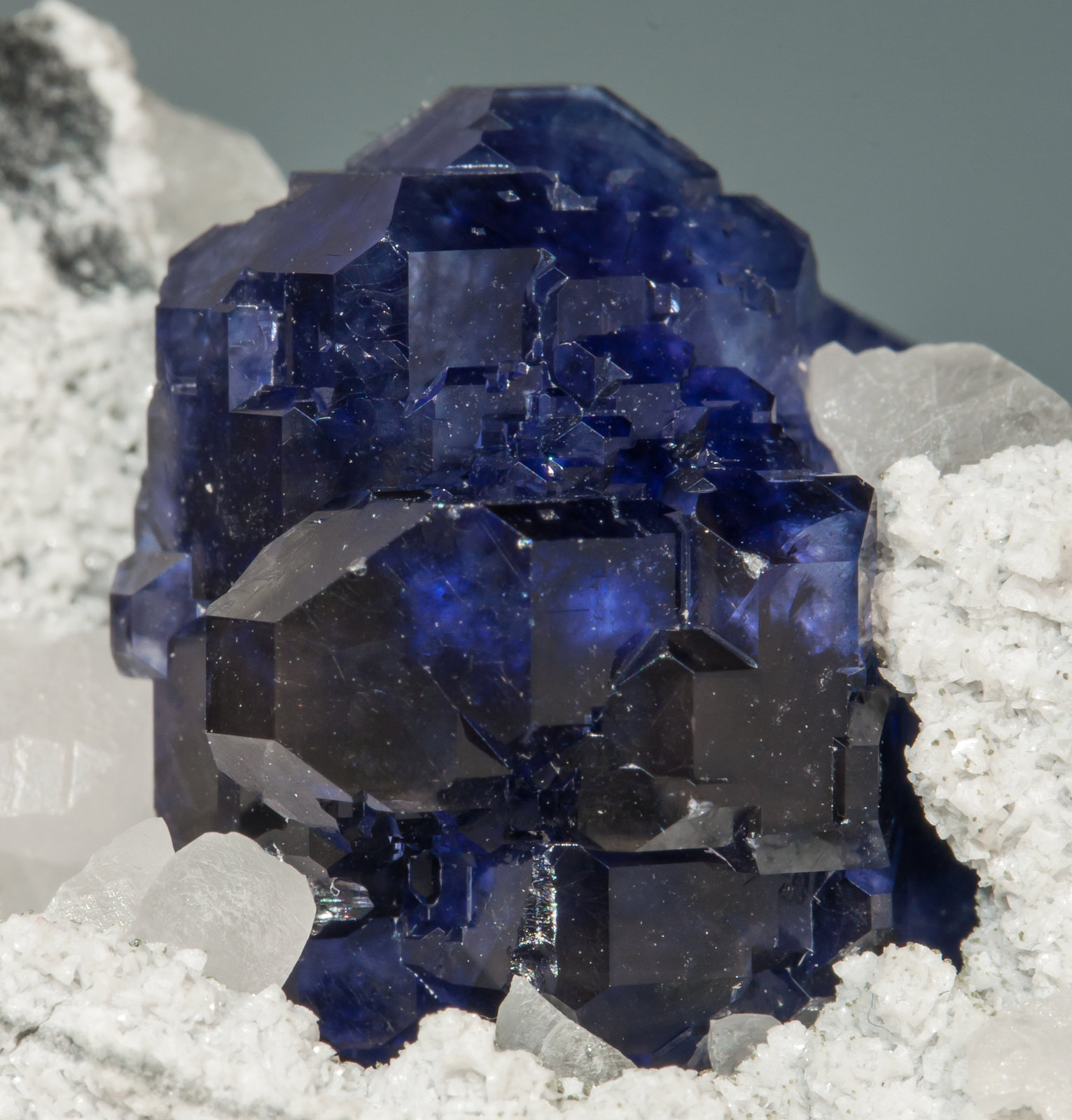 specimens/s_imagesAF0/Fluorite-TR13AF0d.jpg