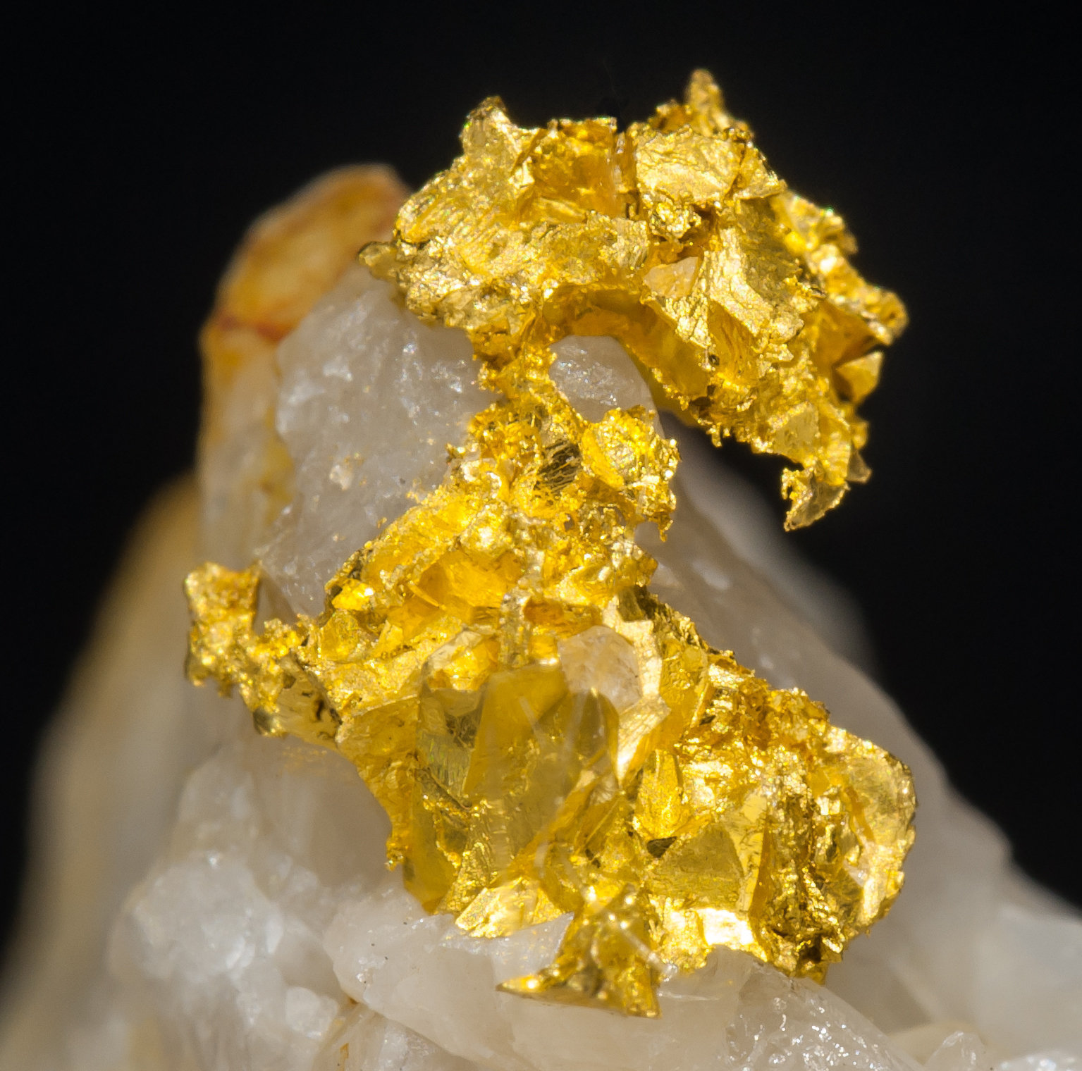 specimens/s_imagesAF0/Gold-NG49AF0d.jpg