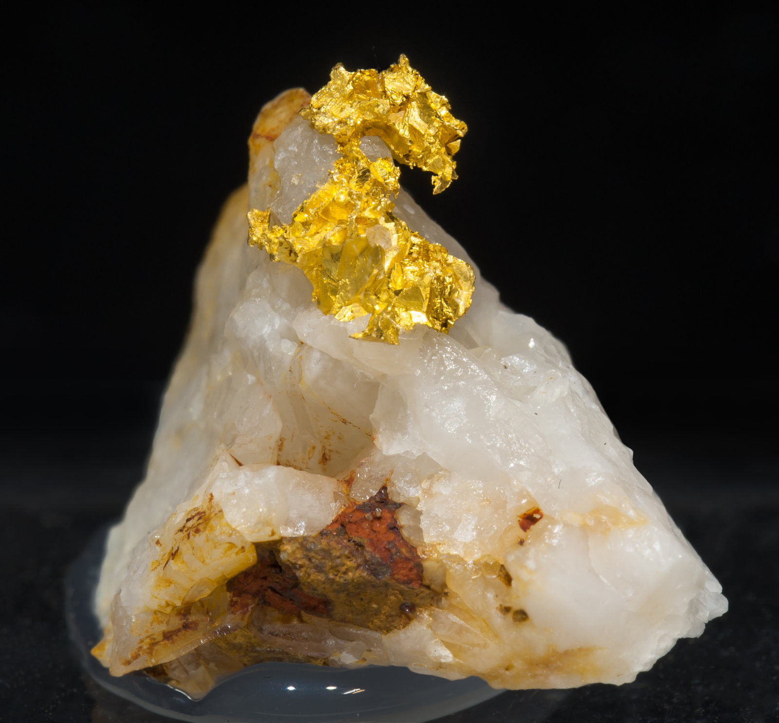 specimens/s_imagesAF0/Gold-NG49AF0f.jpg