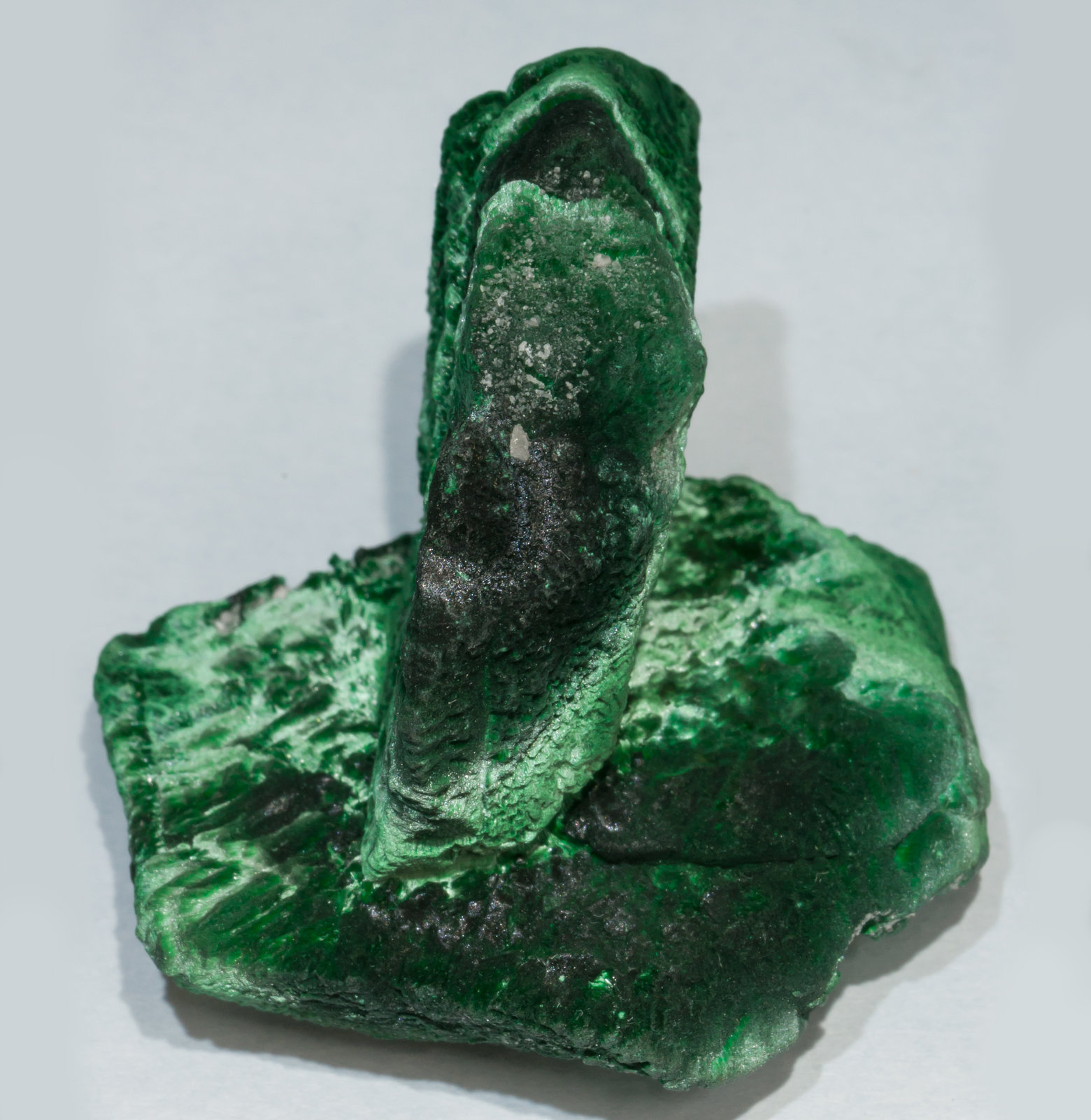 specimens/s_imagesAF0/Malachite-TD87AF0f.jpg