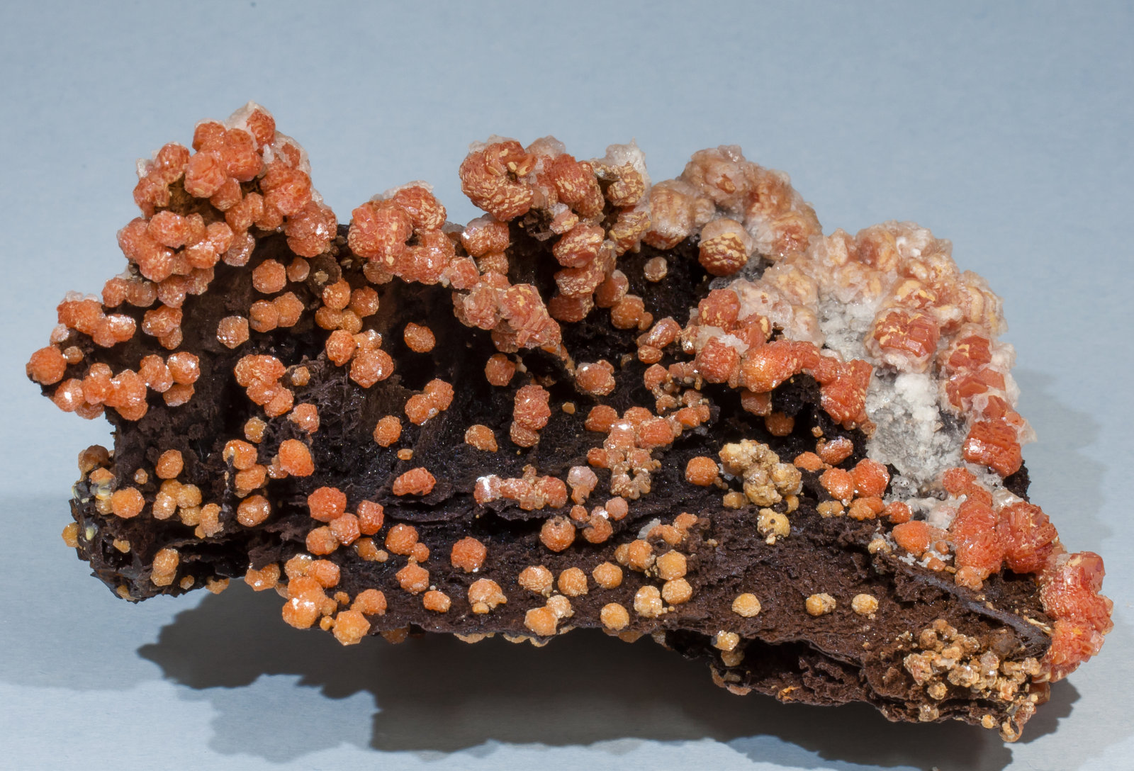 specimens/s_imagesAF0/Vanadinite-MG47AF0f.jpg