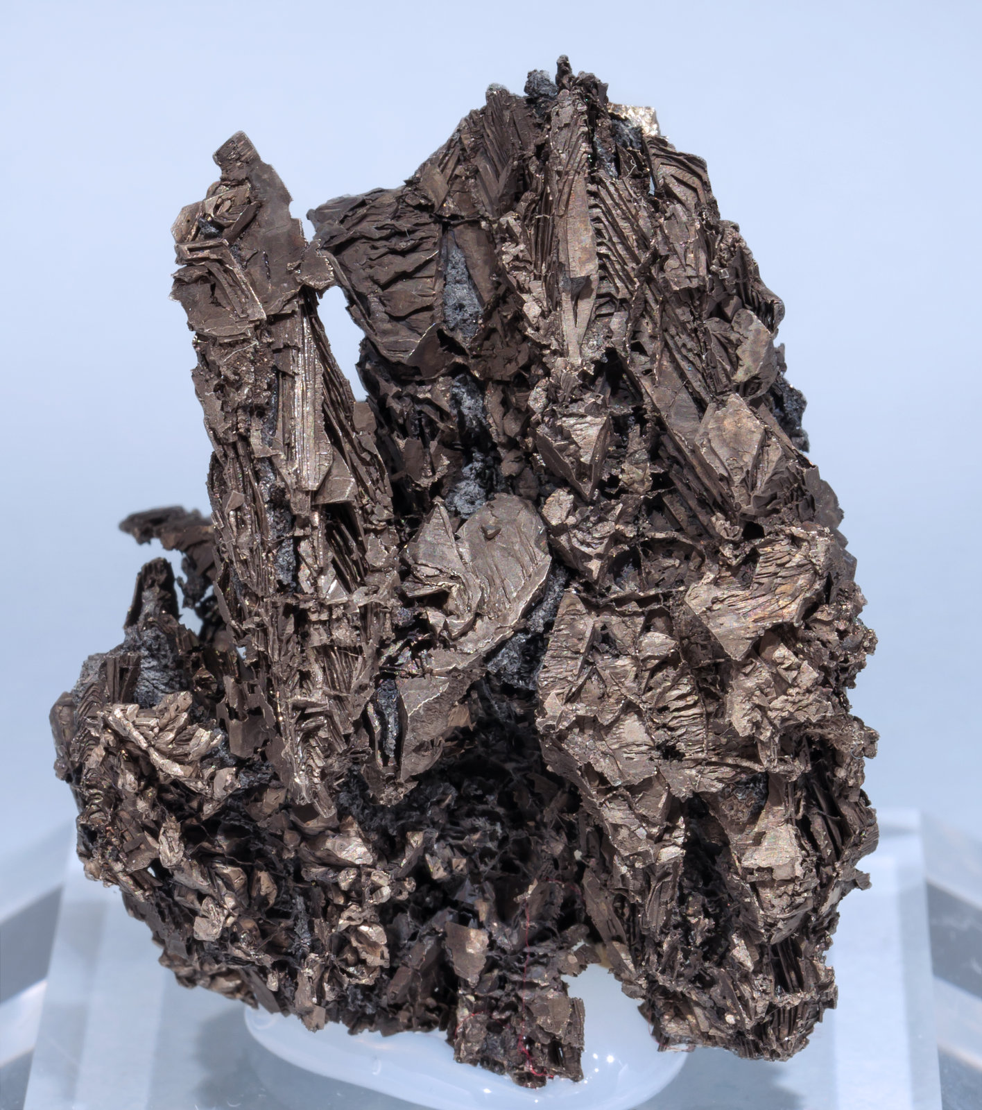 specimens/s_imagesAF1/Bismuth-TX27AF1f.jpg