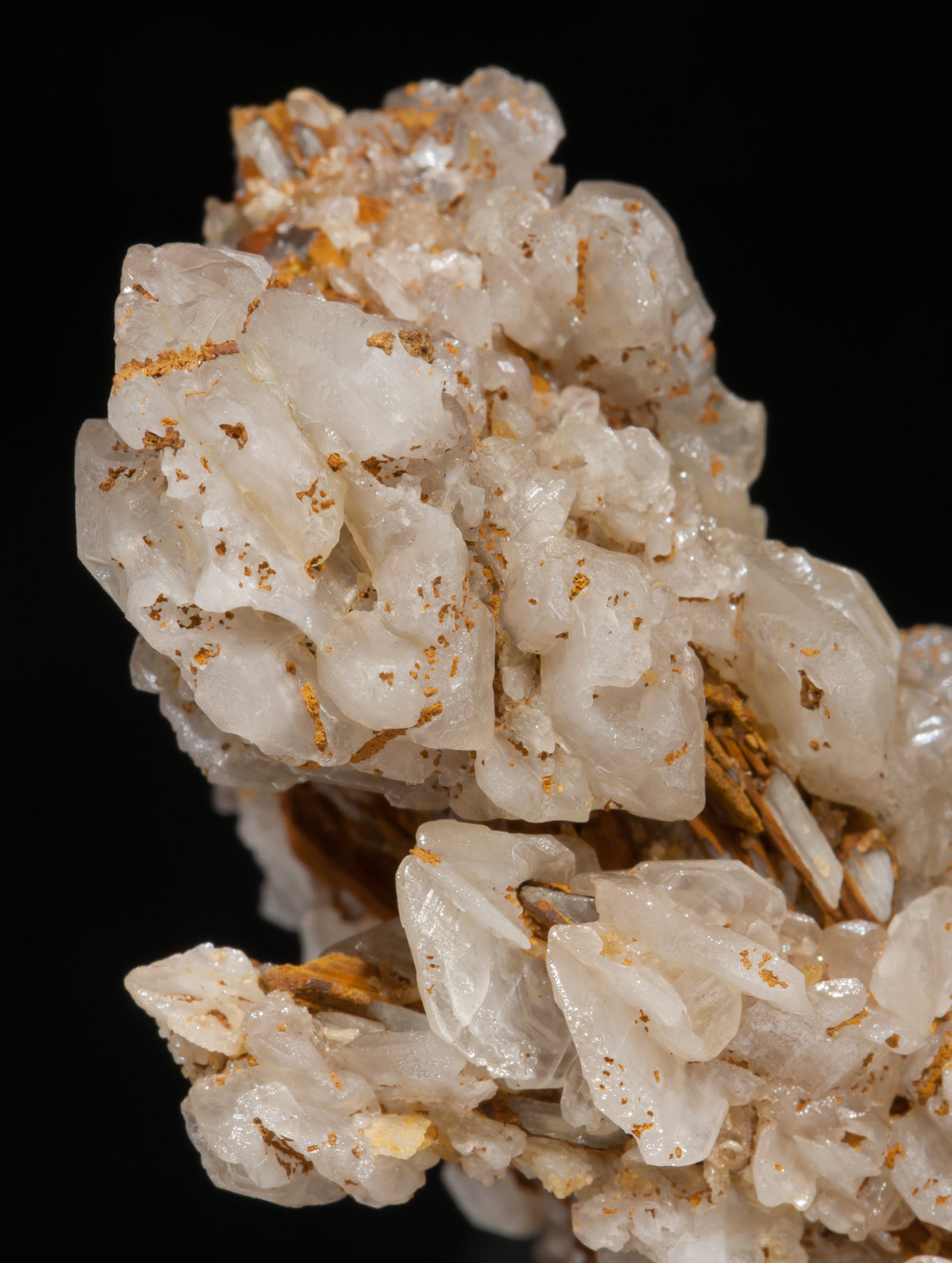 specimens/s_imagesAF1/Cerussite-MF99AF1d1.jpg
