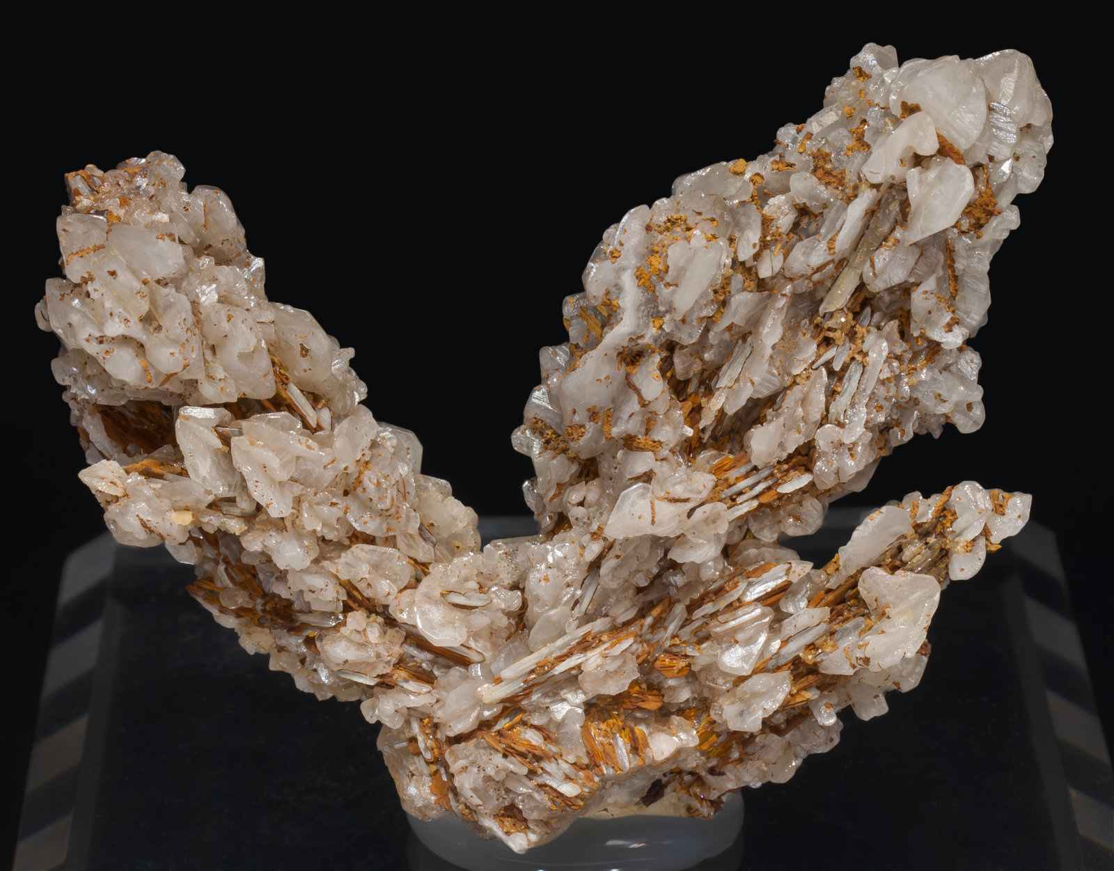specimens/s_imagesAF1/Cerussite-MF99AF1f.jpg