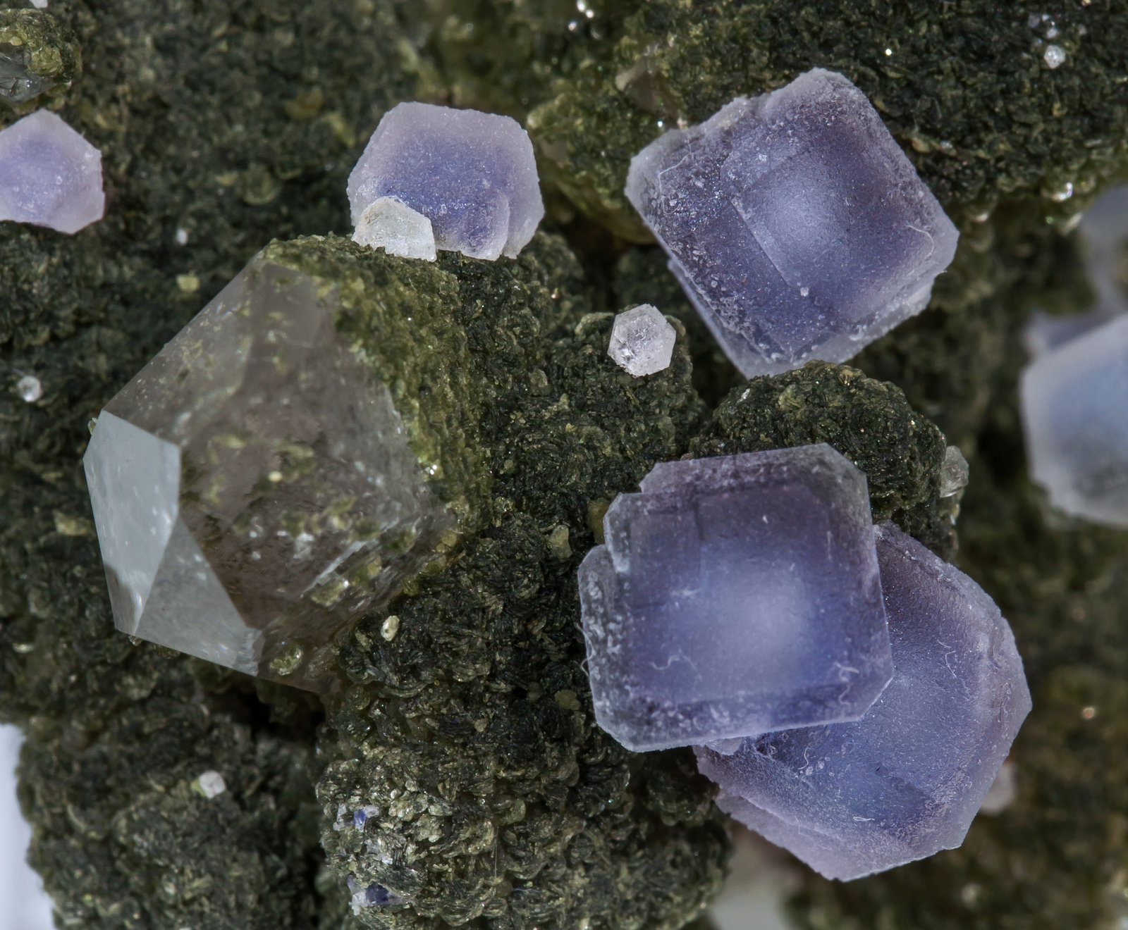 specimens/s_imagesAF1/Fluorite-TX48AF1d.jpg