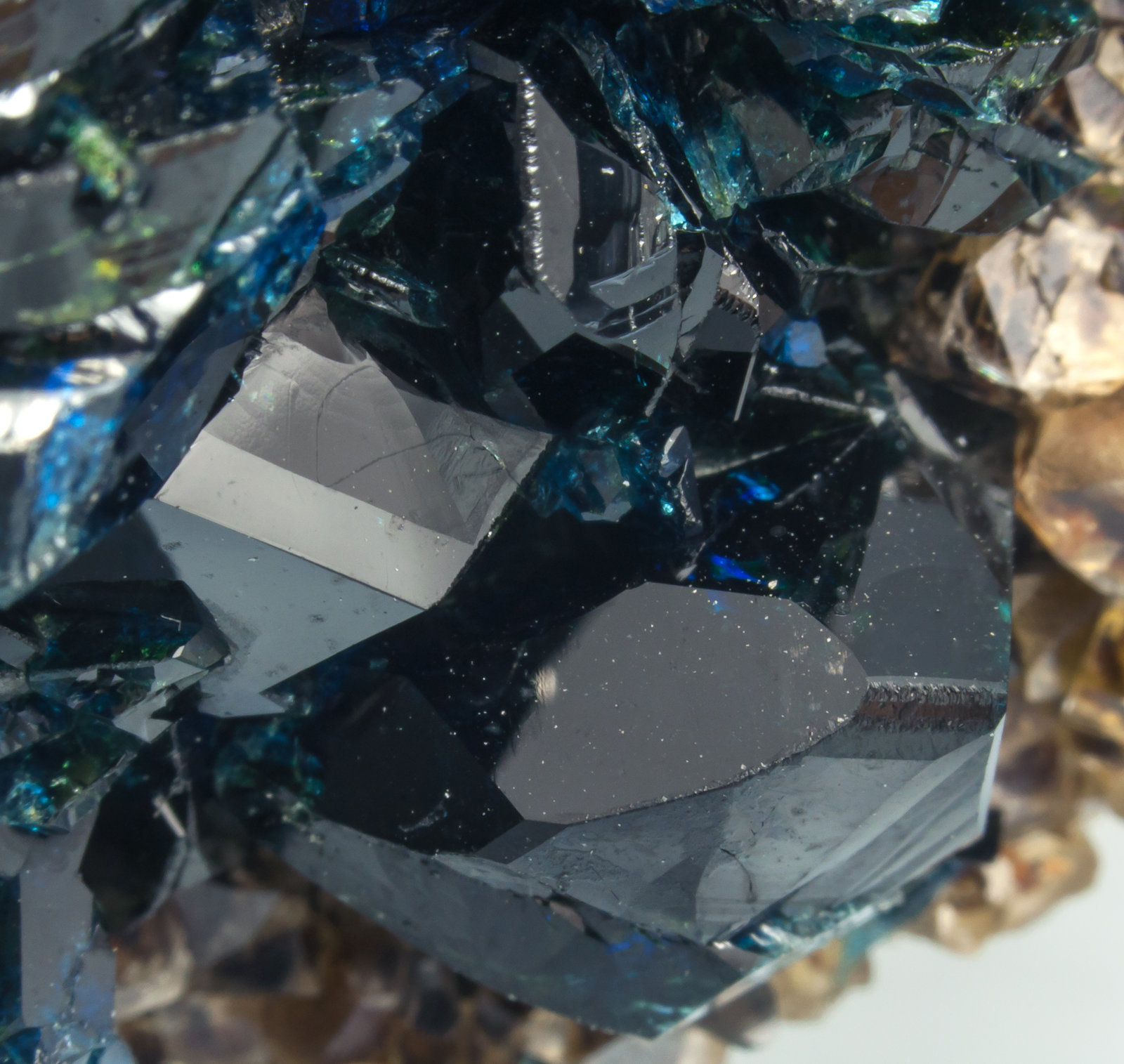 specimens/s_imagesAF1/Lazulite-MB56AF1d.jpg