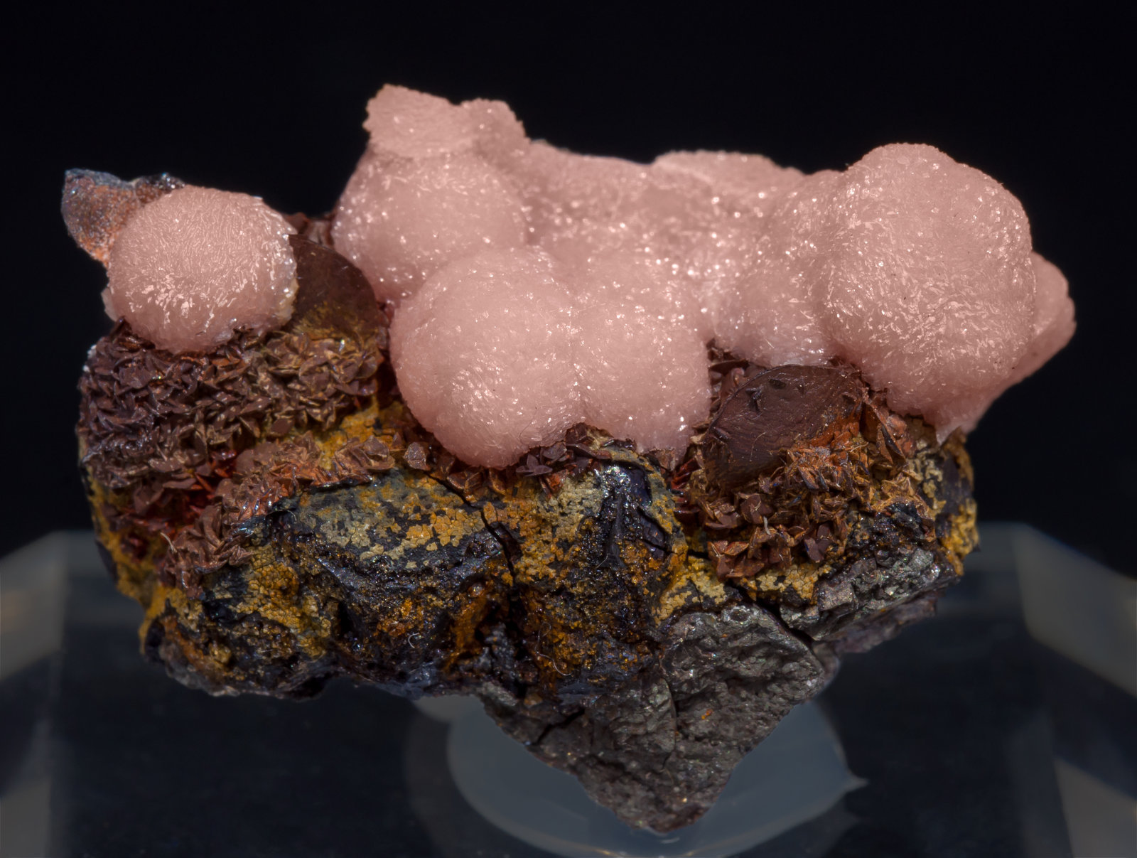 specimens/s_imagesAF1/Rhodochrosite-TC13AF1f.jpg