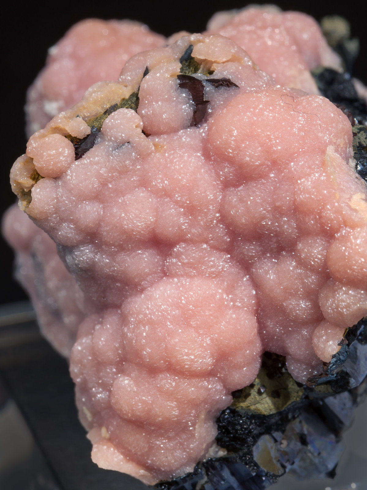 specimens/s_imagesAF1/Rhodochrosite-TK26AF1d.jpg