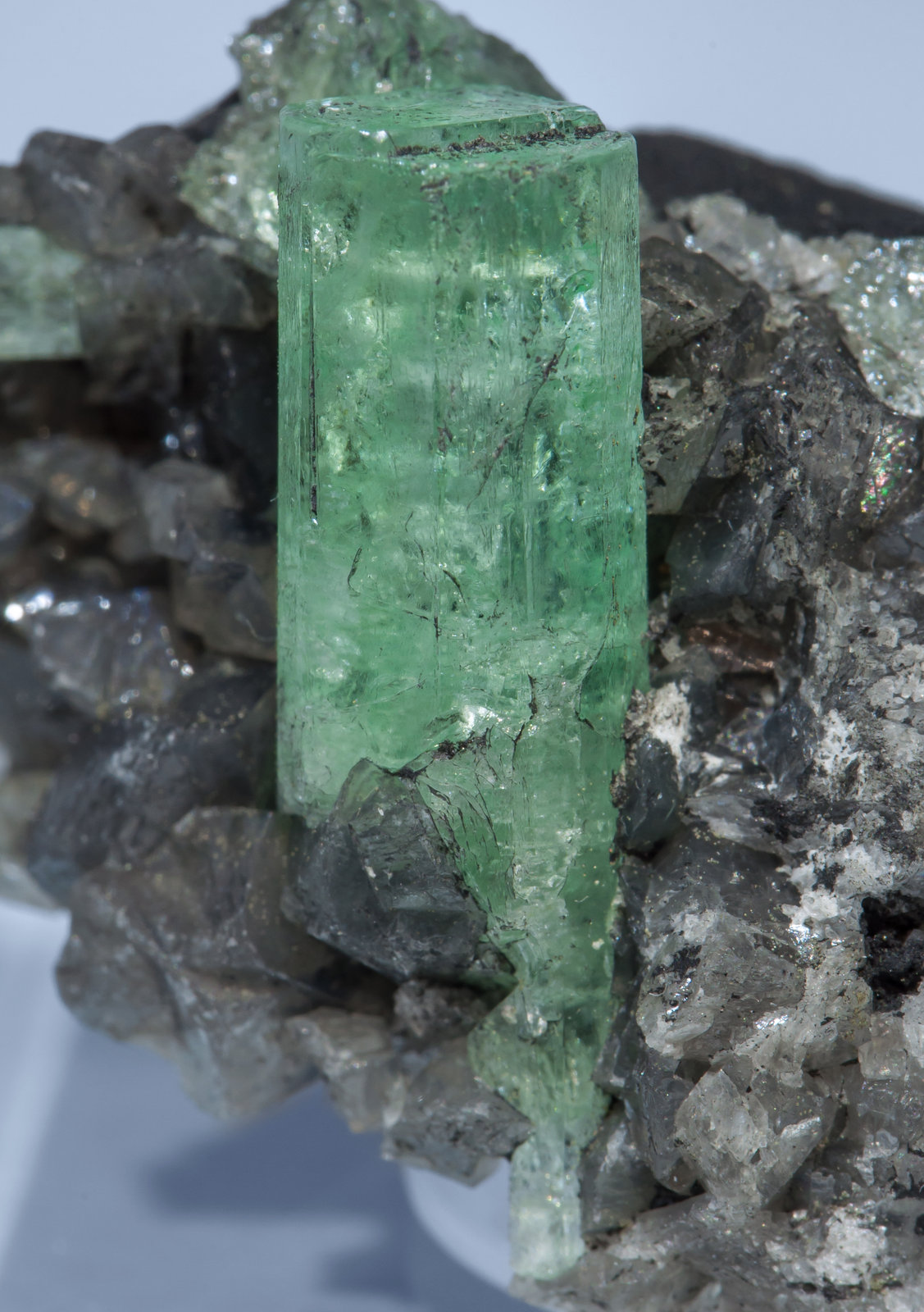 specimens/s_imagesAF2/Beryl_emerald-TP88AF2d.jpg