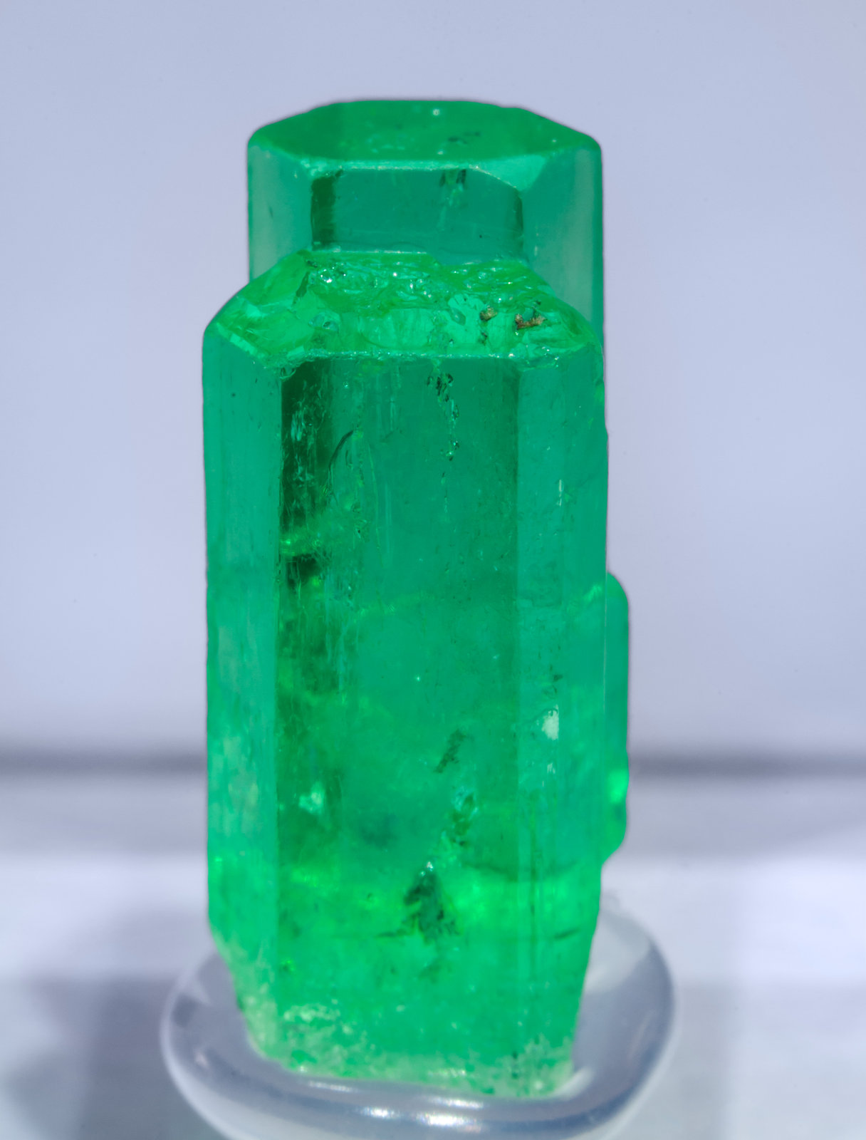 specimens/s_imagesAF2/Beryl_emerald-TQ66AF2f2.jpg