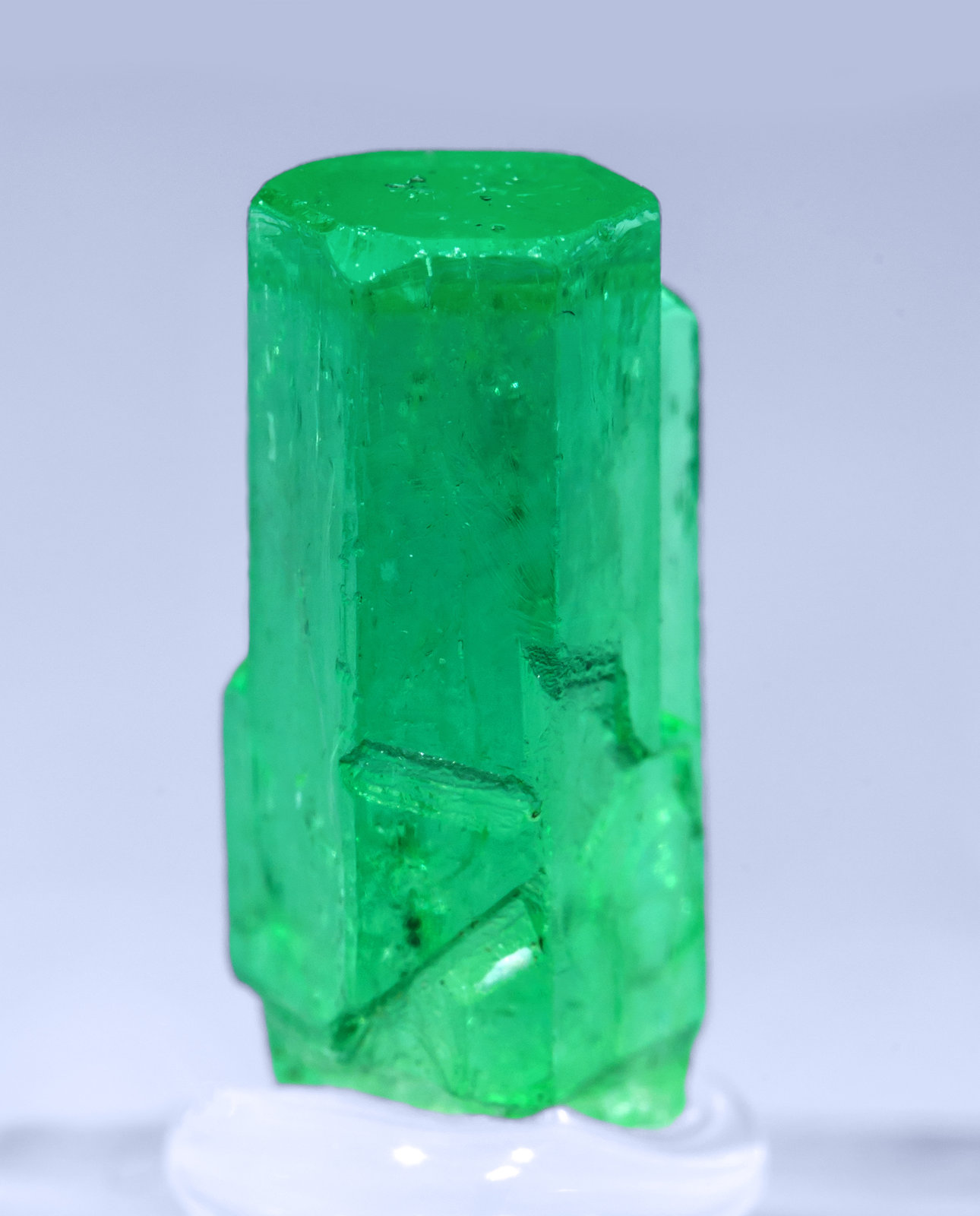 specimens/s_imagesAF2/Beryl_emerald-TQ66AF2r2.jpg