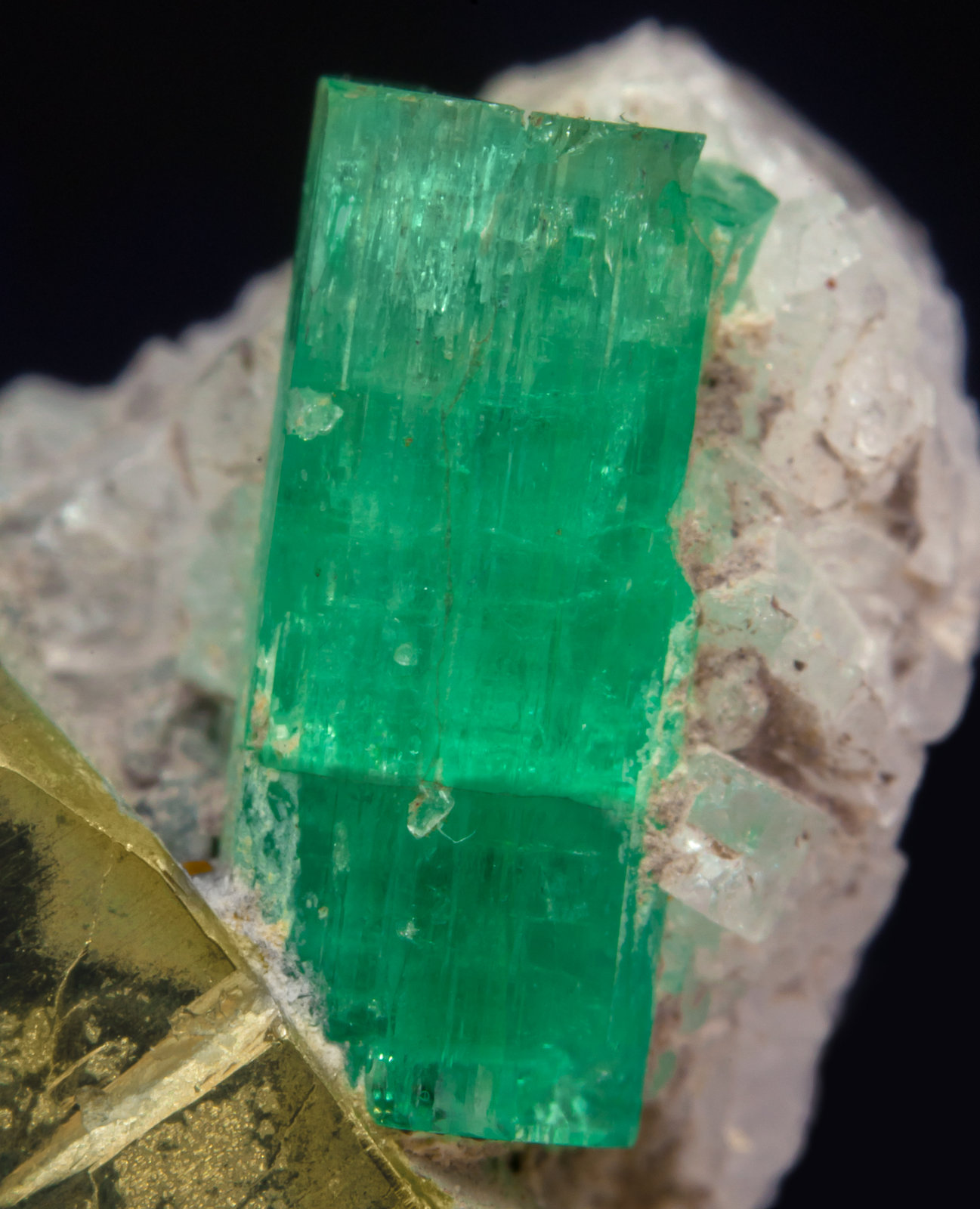 specimens/s_imagesAF2/Beryl_emerald-TR16AF2d.jpg