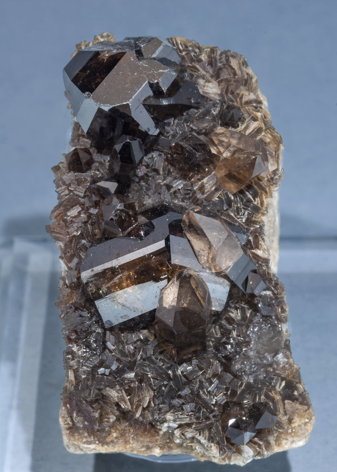 specimens/s_imagesAF2/Cassiterite-DP98AF2f.jpg