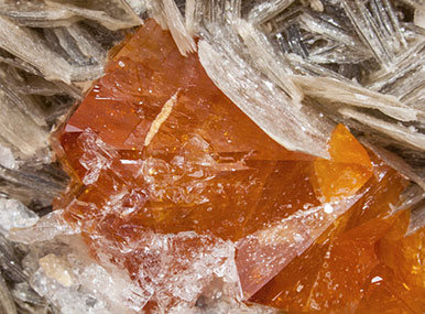 Scheelite with Beryl (variety goshenite) and Muscovite. 