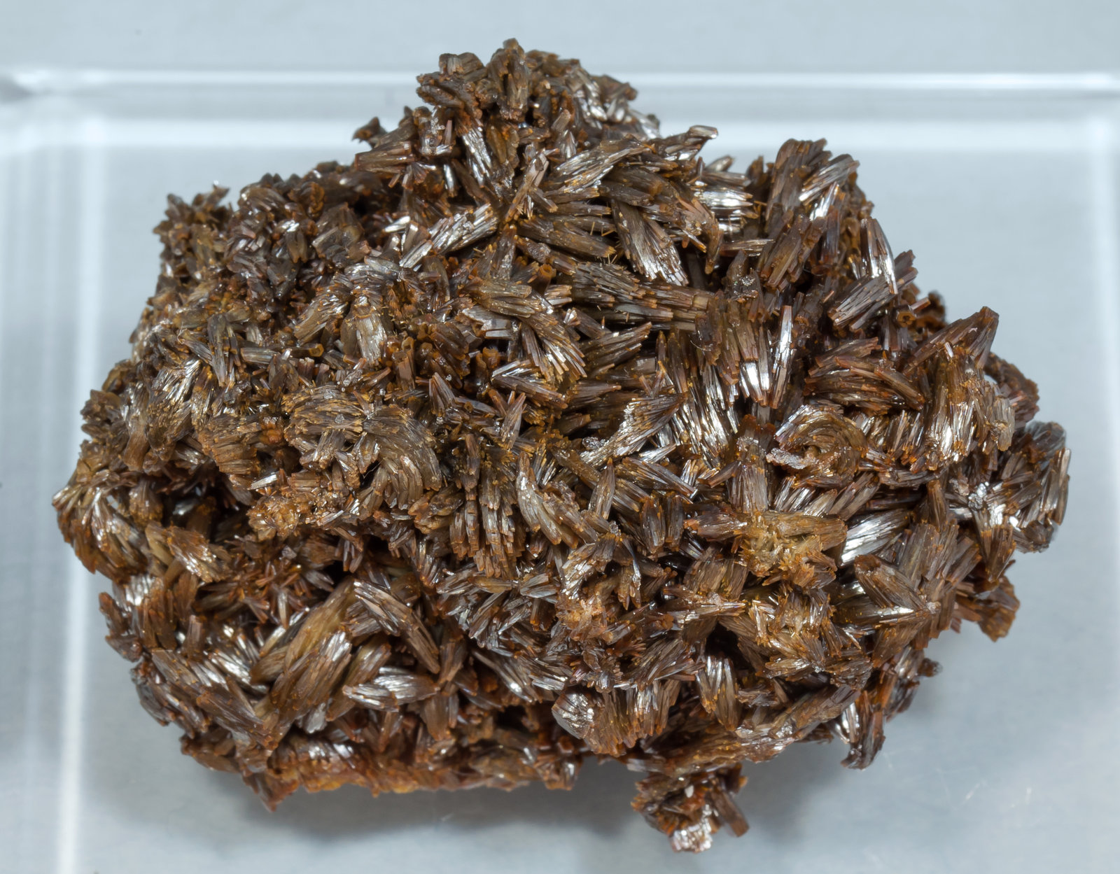 specimens/s_imagesAF3/Vanadinite-ME47AF3t.jpg