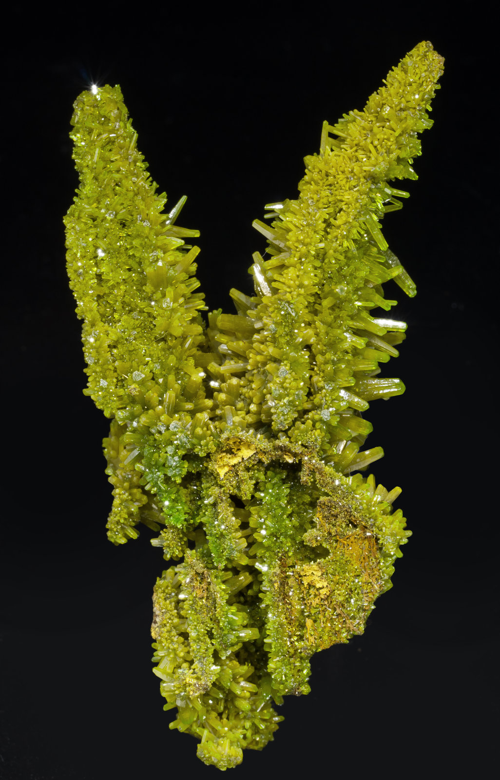 specimens/s_imagesAF4/Pyromorphite-DM48AF4r.jpg