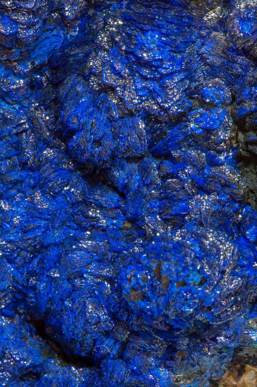 specimens/s_imagesAF5/Azurite-EJ46AF5d.jpg