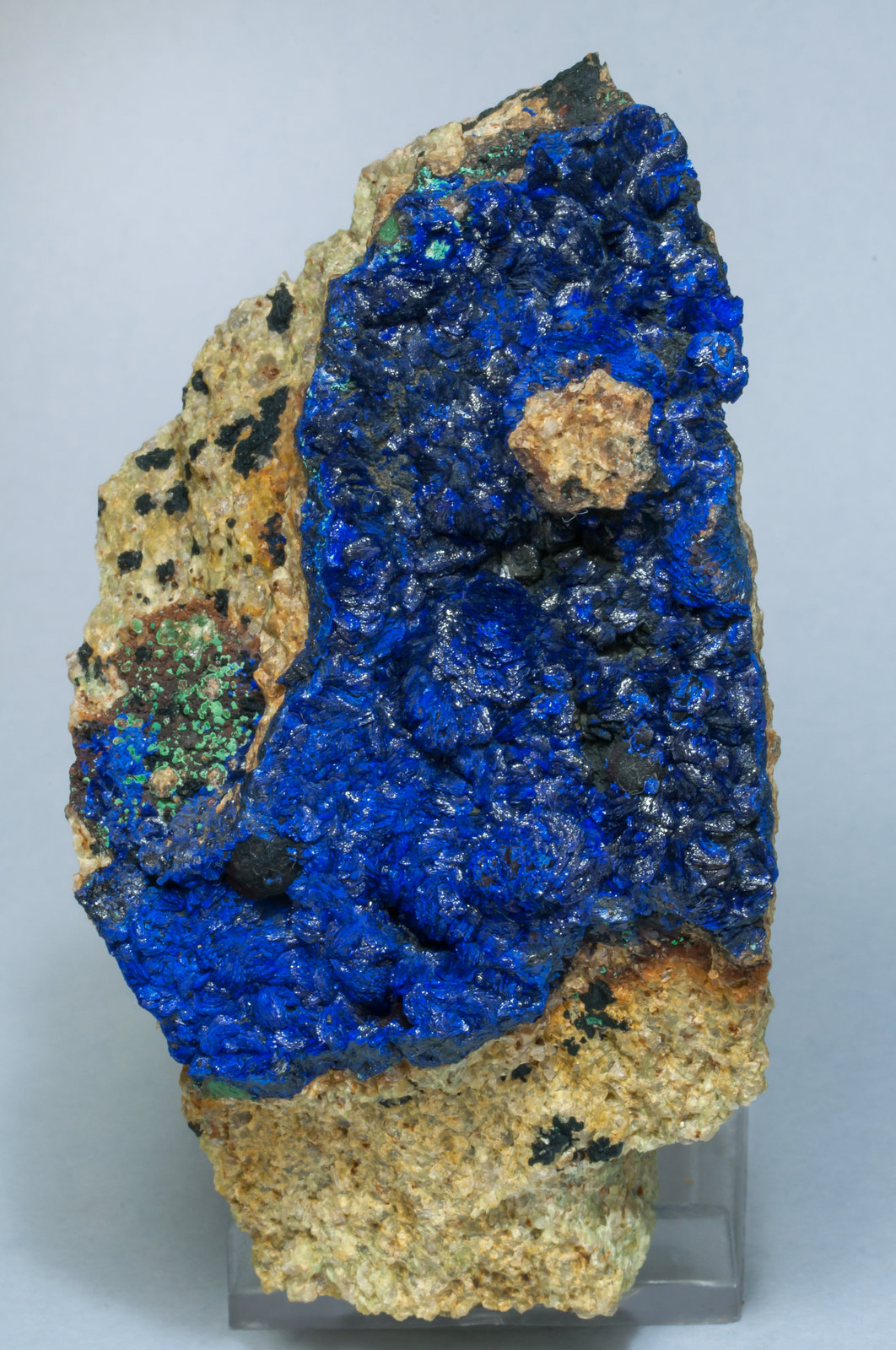 specimens/s_imagesAF5/Azurite-EJ46AF5f.jpg