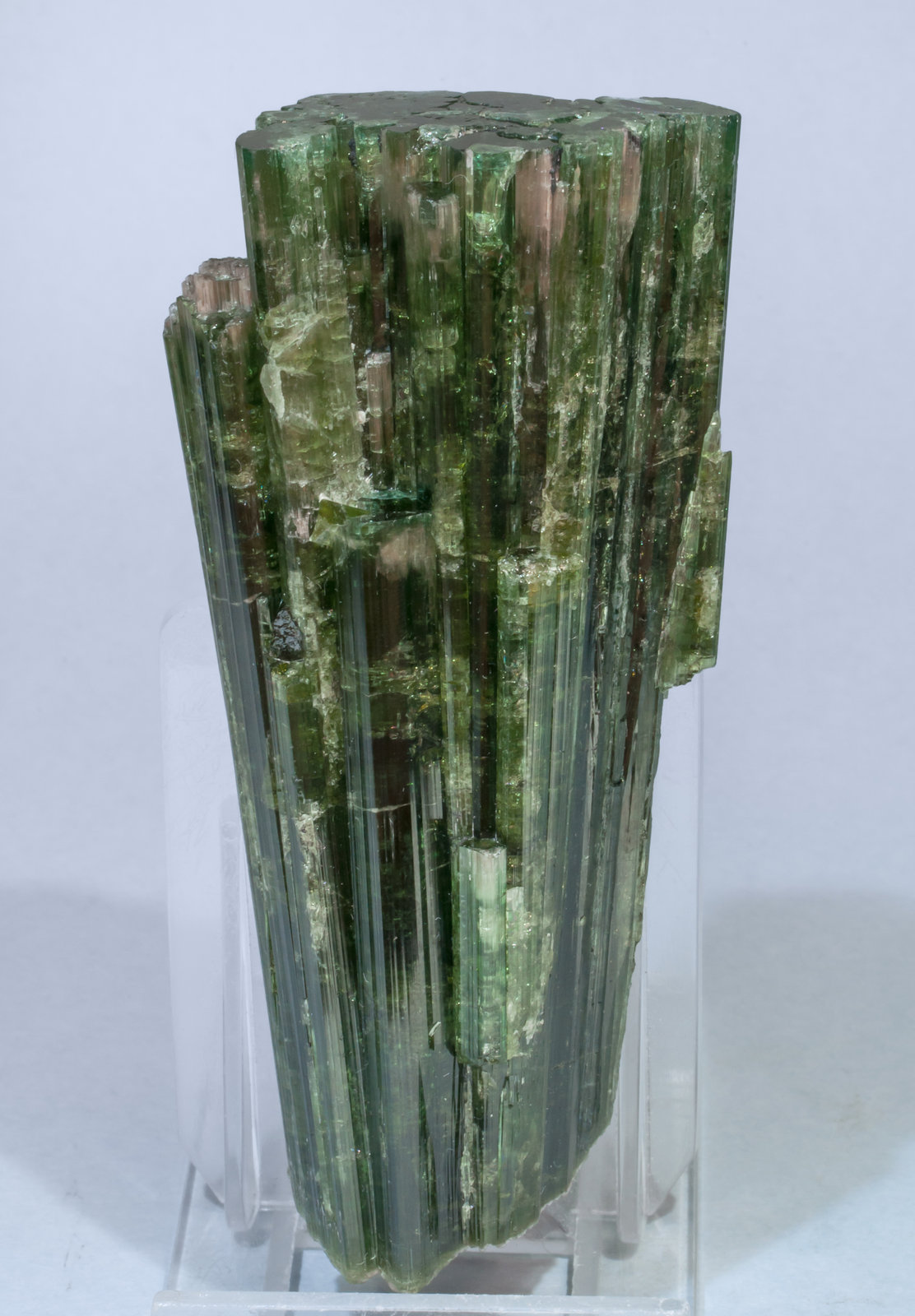 specimens/s_imagesAF5/Elbaite-TV37AF5r.jpg