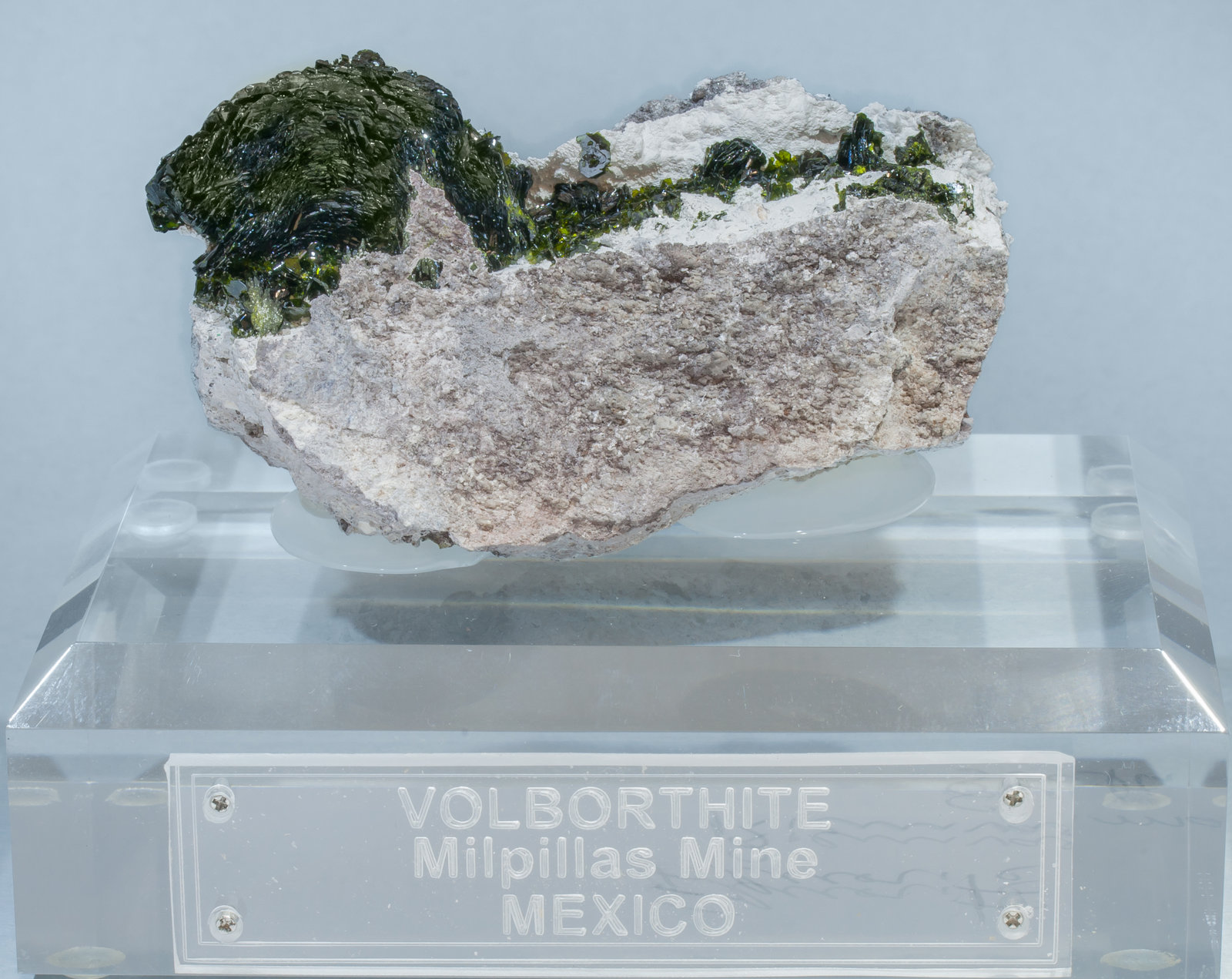 specimens/s_imagesAF5/Volborthite-TB92AF5f1.jpg