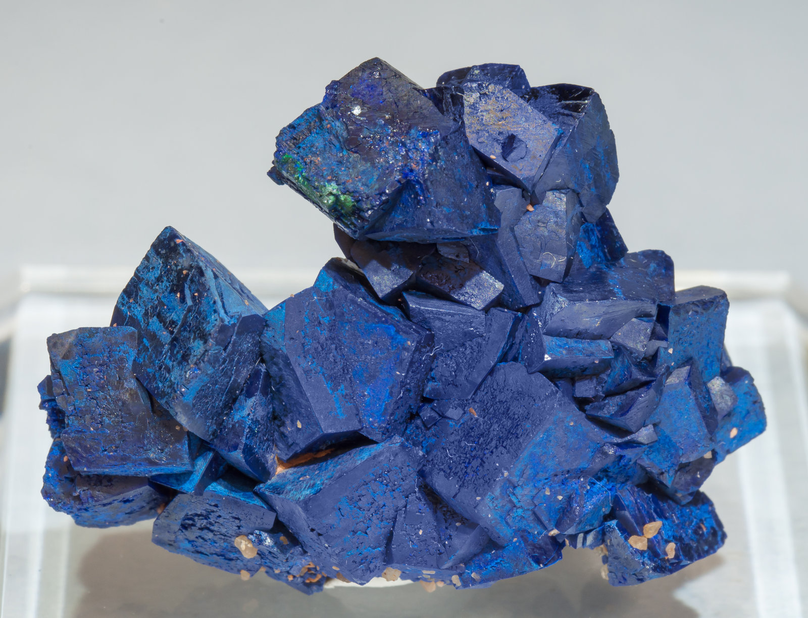 specimens/s_imagesAF6/Azurite-ED48AF6f.jpg