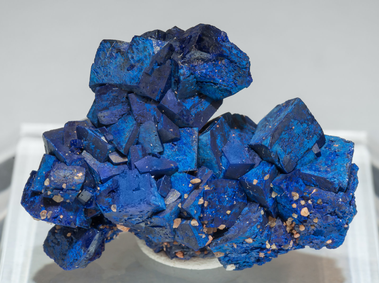 specimens/s_imagesAF6/Azurite-ED48AF6r.jpg
