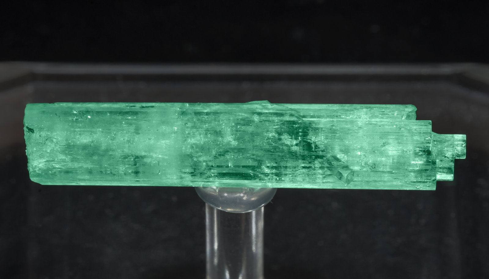 specimens/s_imagesAF6/Beryl_emerald-TR28AF6d2.jpg