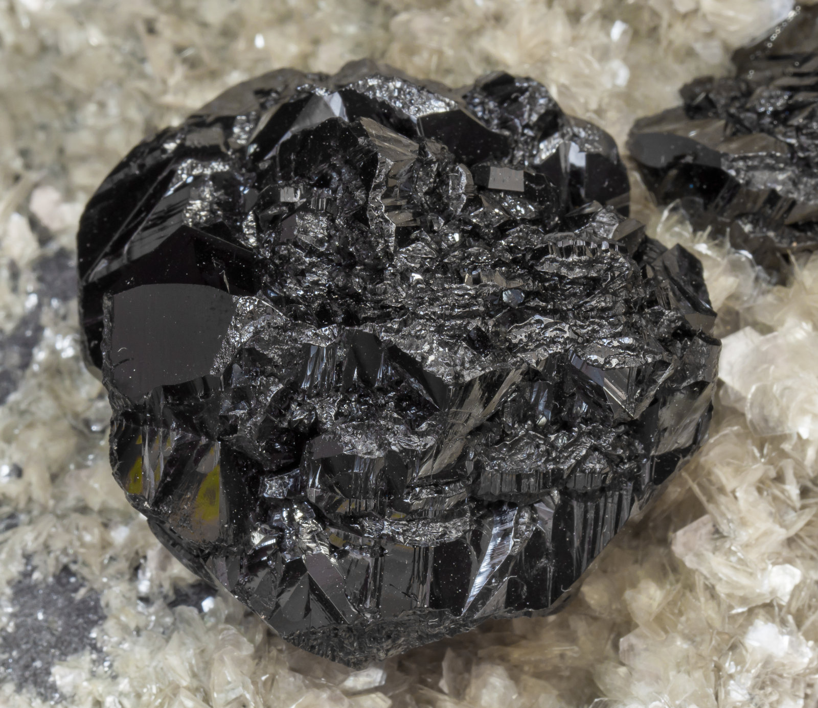 specimens/s_imagesAF6/Cassiterite-TM37AF6d1.jpg