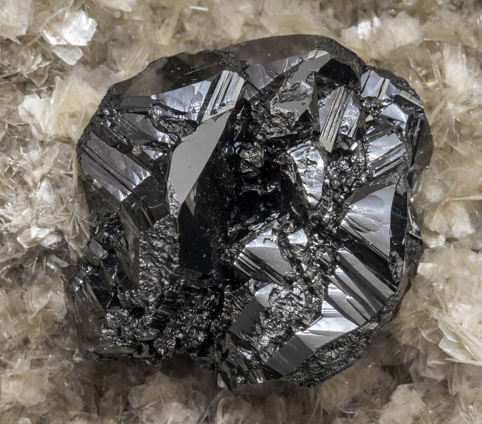 specimens/s_imagesAF6/Cassiterite-TM37AF6d2.jpg